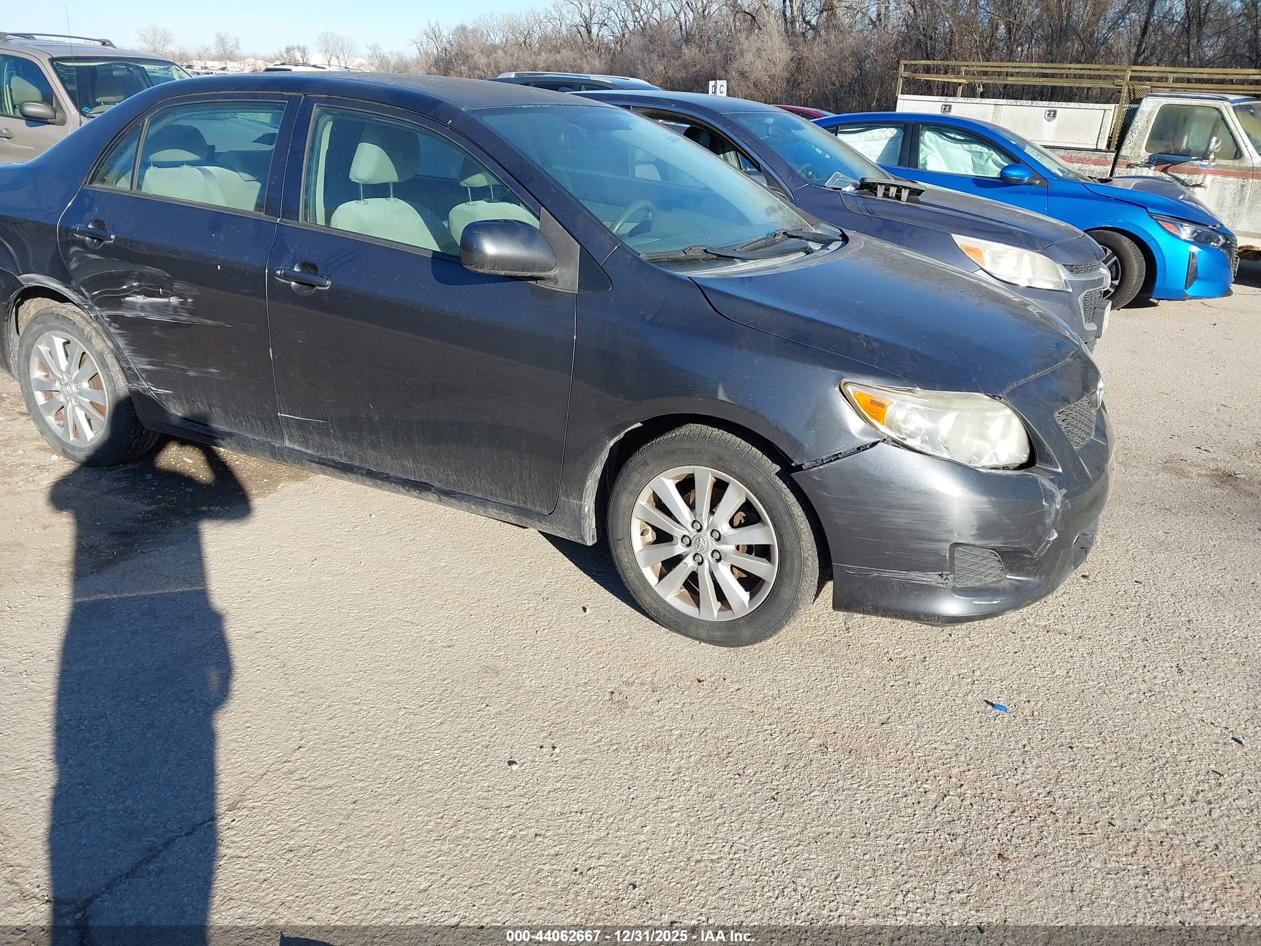 TOYOTA COROLLA image 6