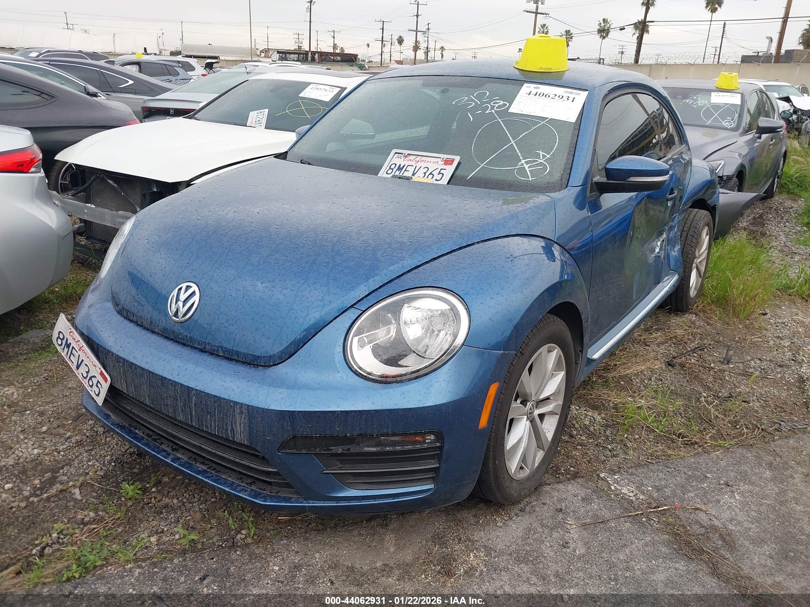 VOLKSWAGEN BEETLE image 2