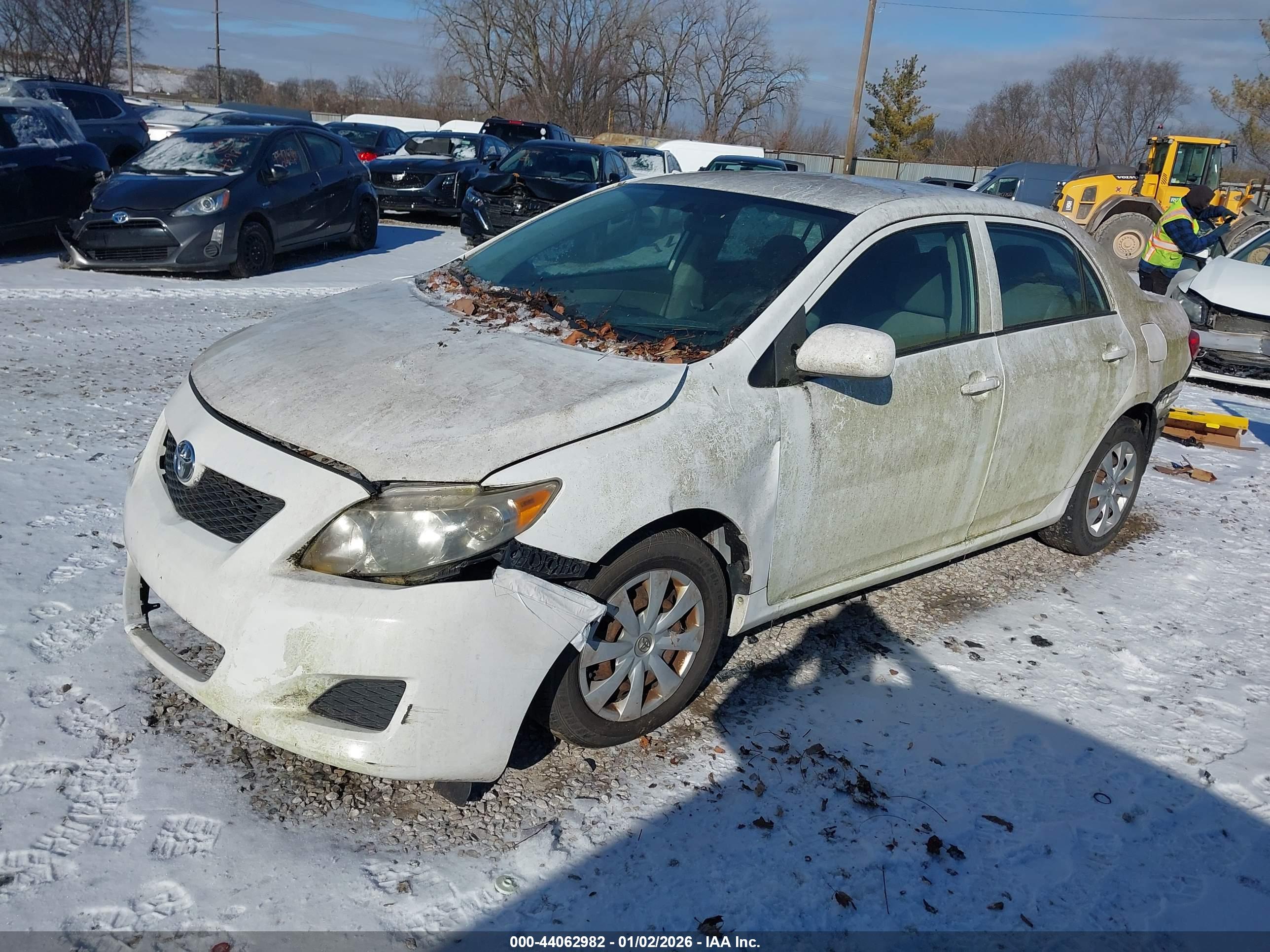 TOYOTA COROLLA image 2