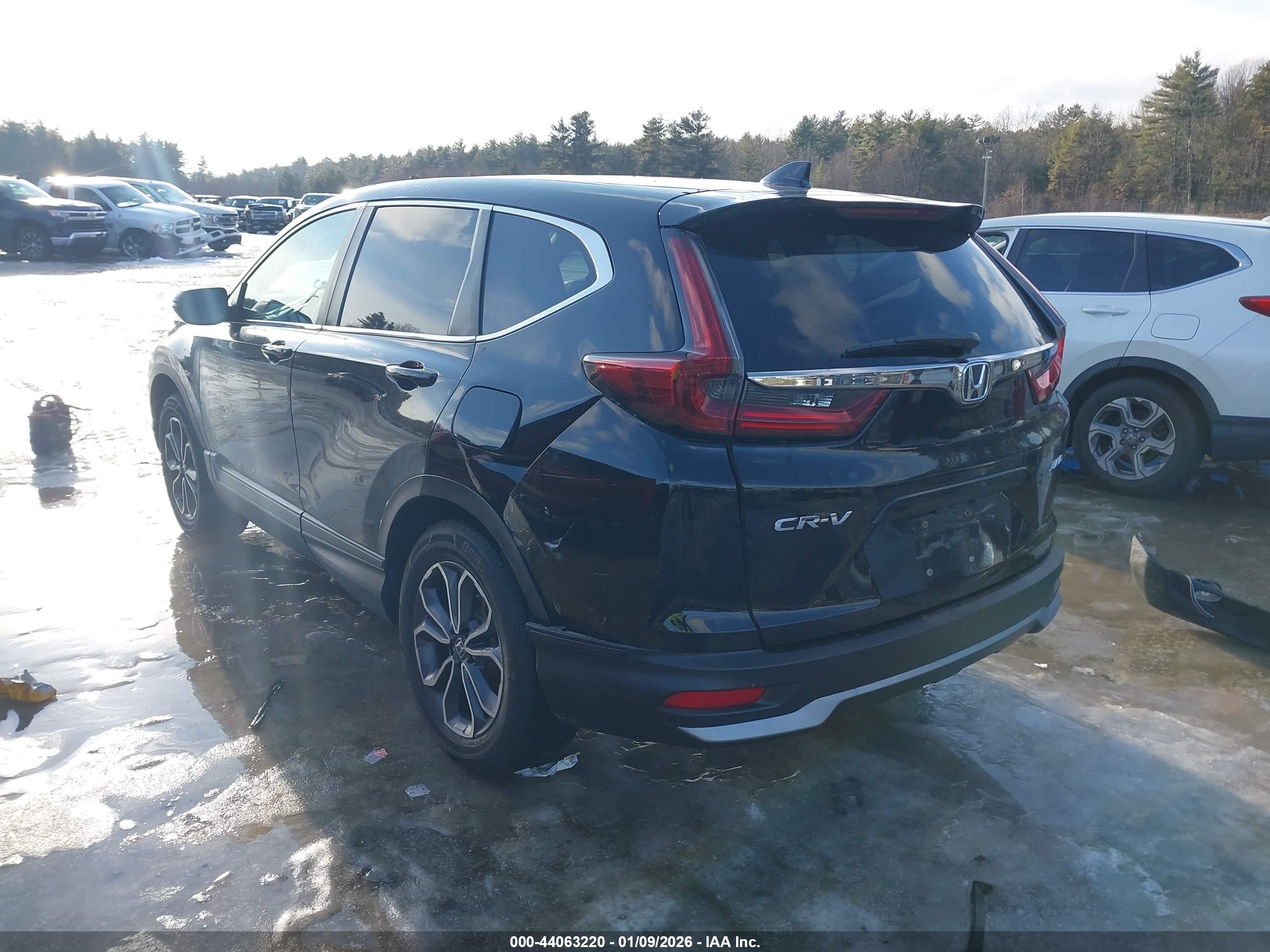 HONDA CR-V image 3
