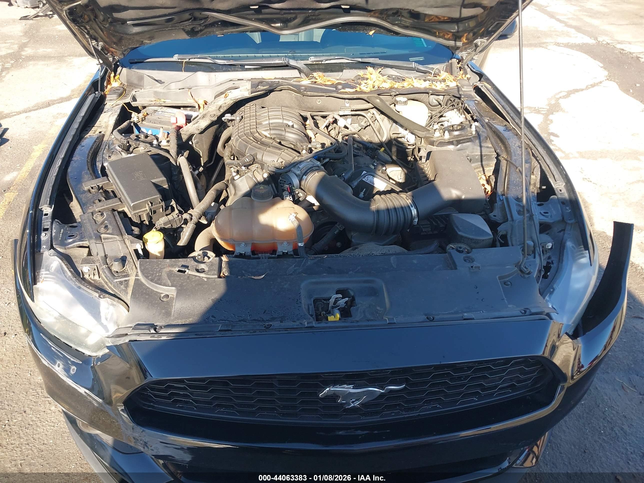 FORD MUSTANG image 10