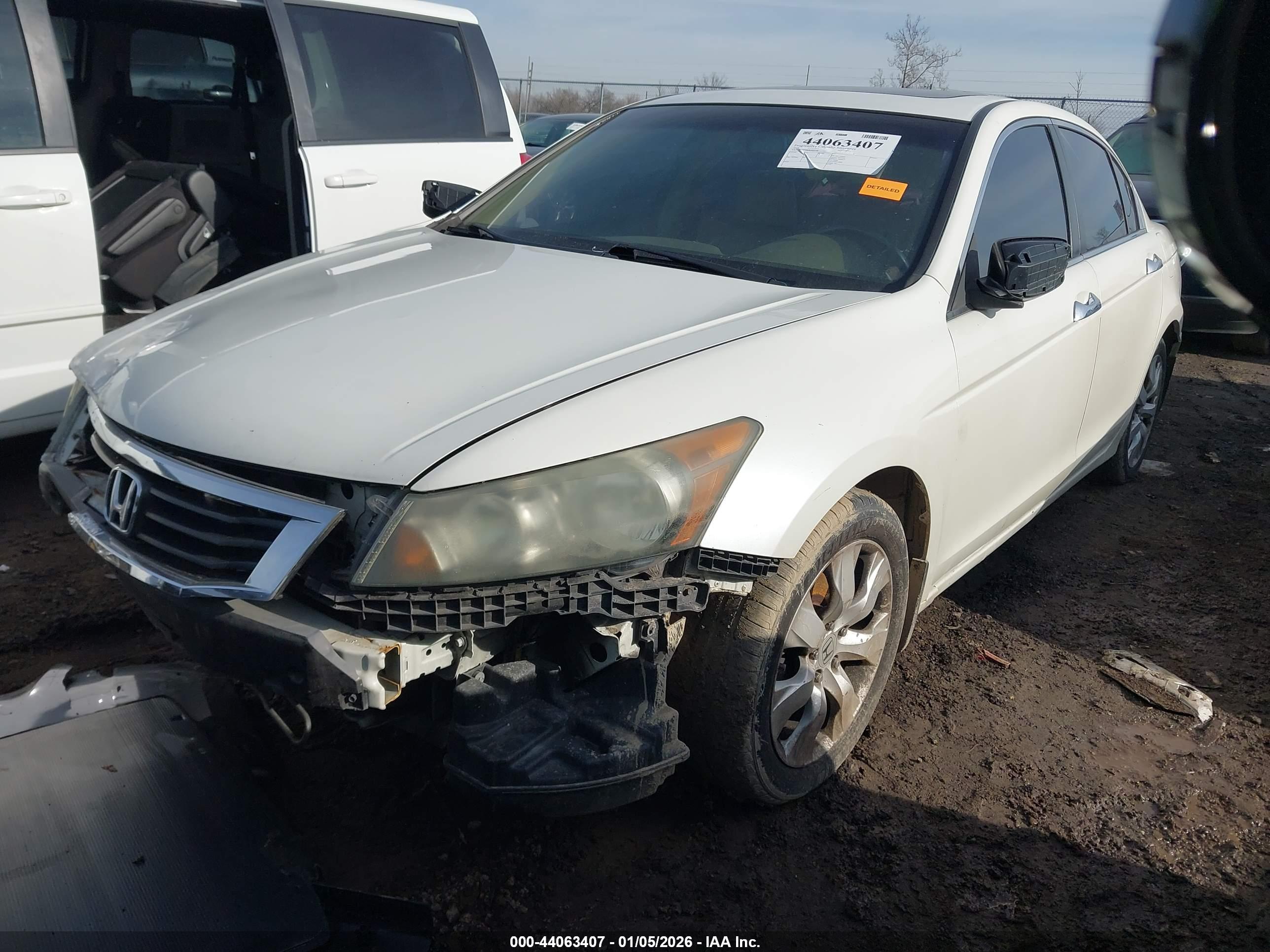HONDA ACCORD image 2