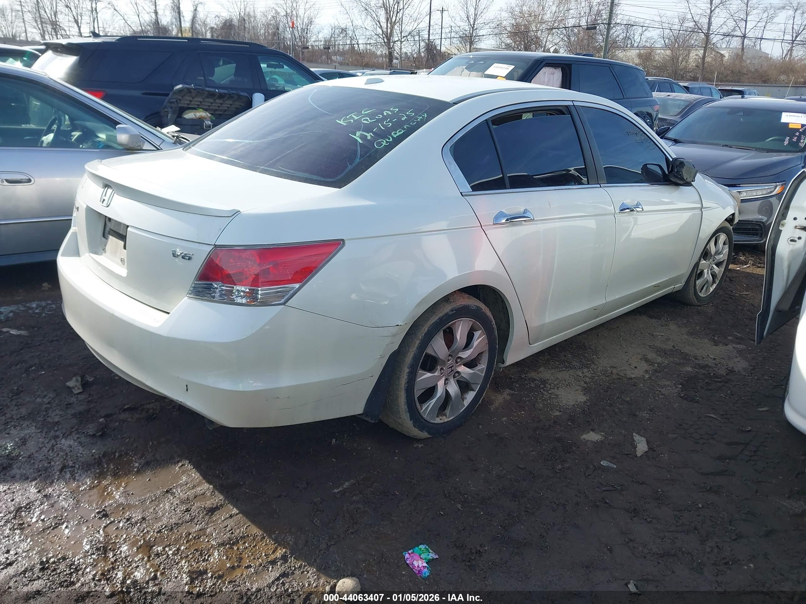 HONDA ACCORD image 4