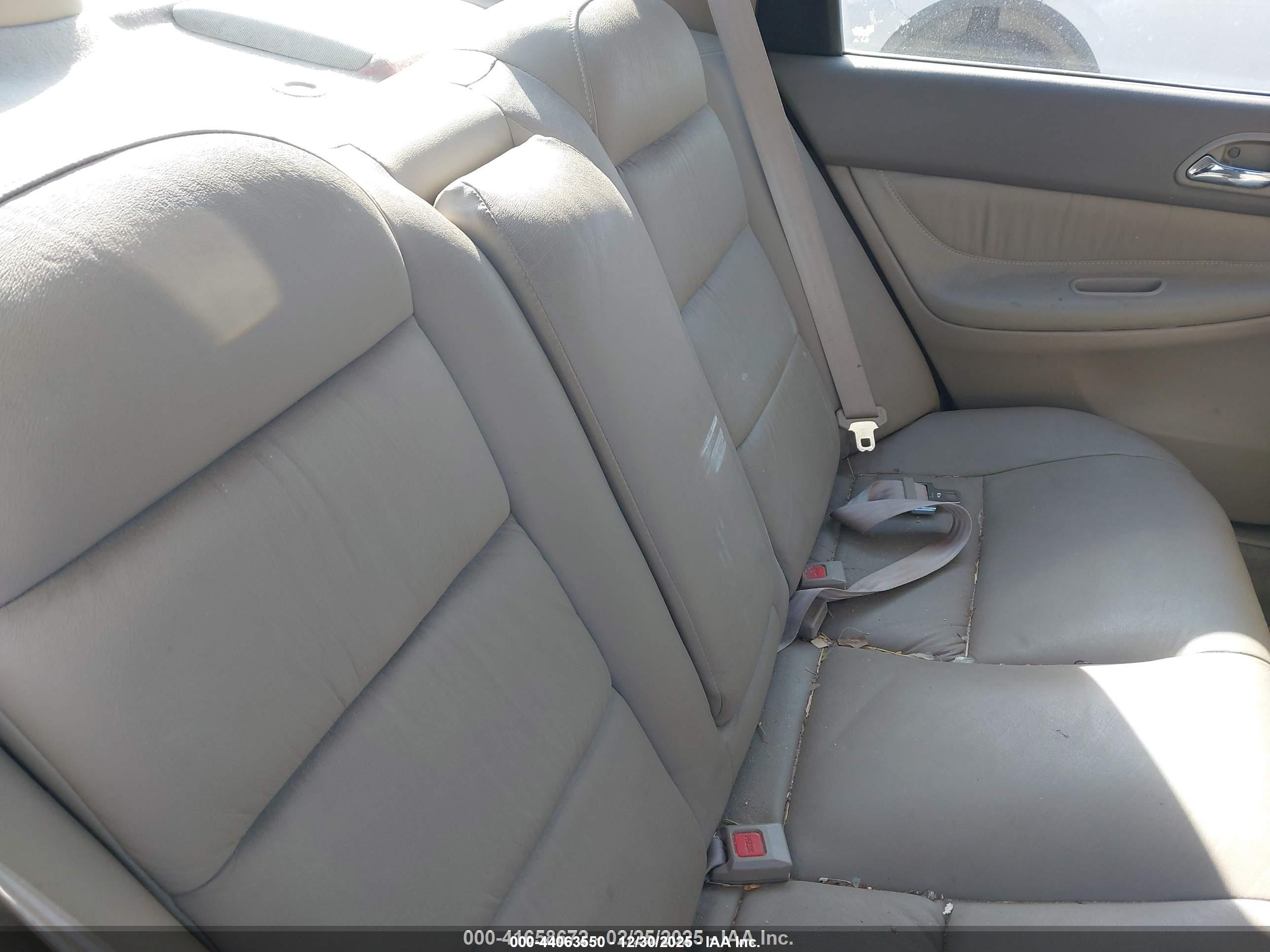 HONDA ACCORD image 8