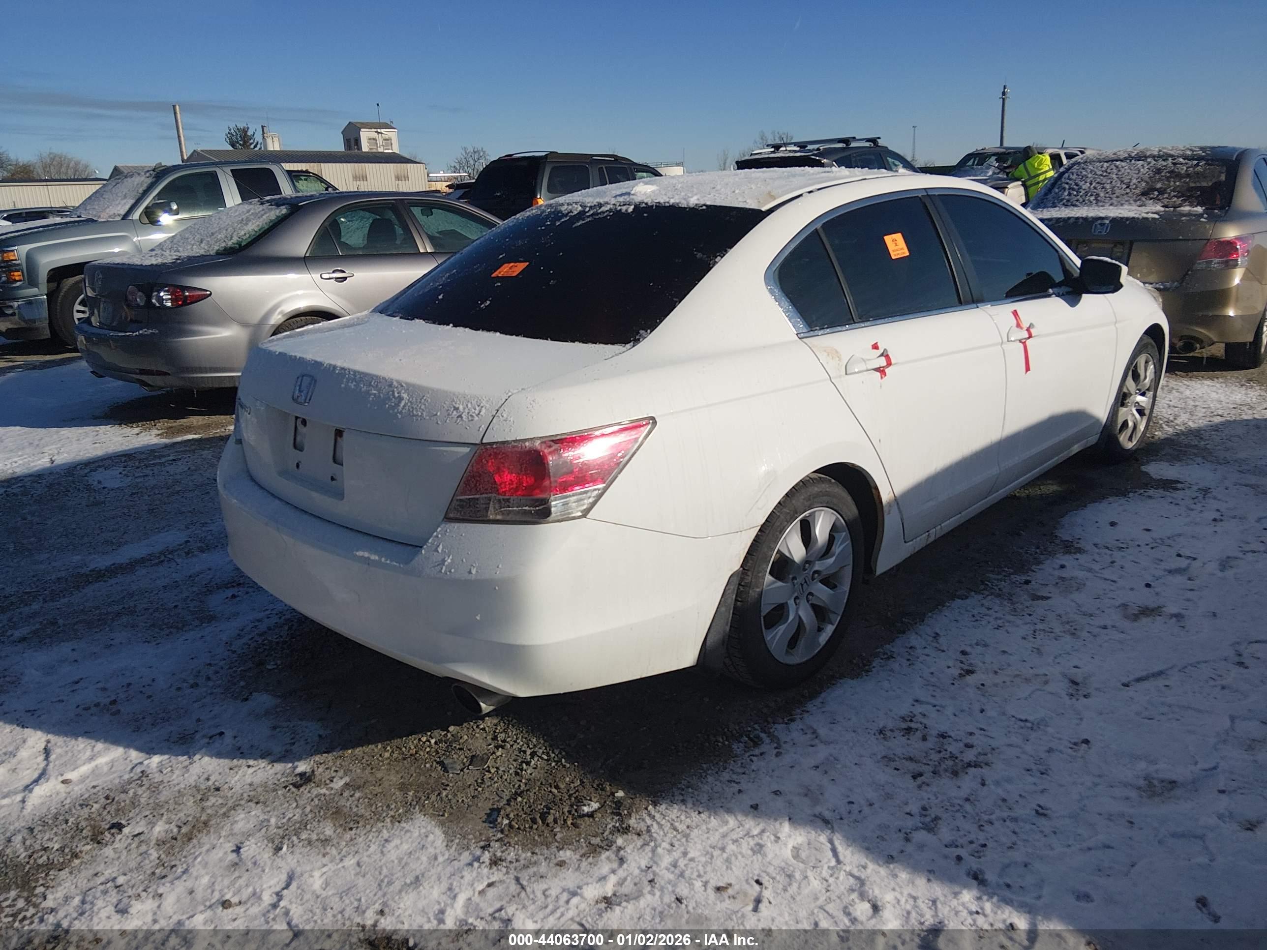 HONDA ACCORD image 4