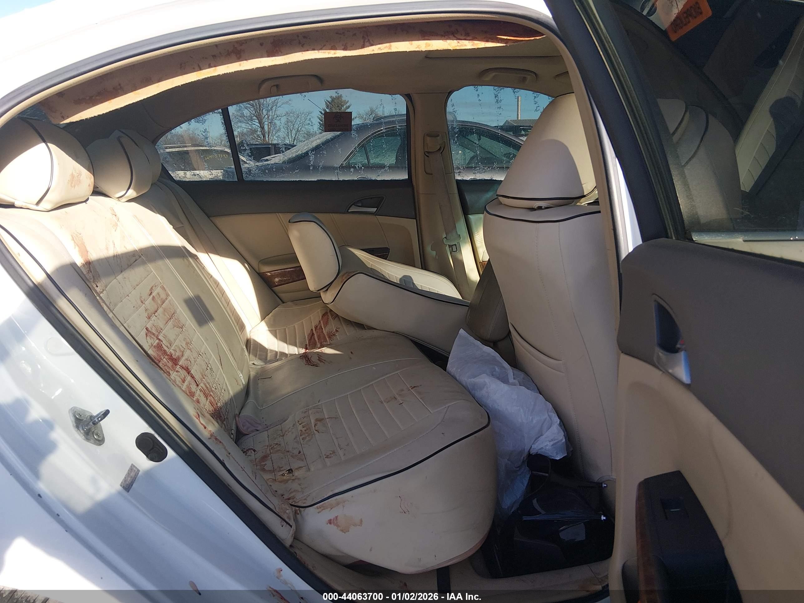HONDA ACCORD image 8