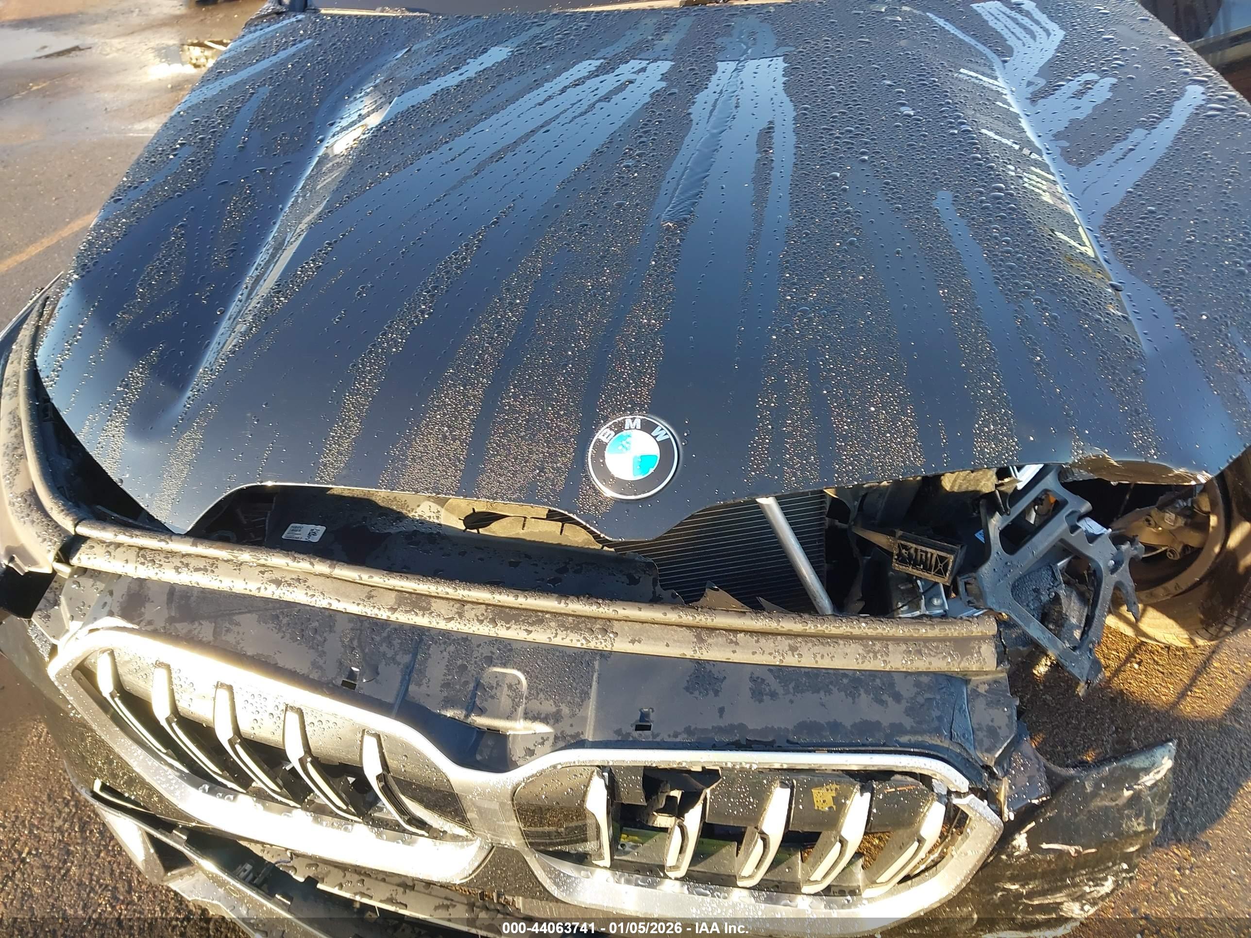 BMW X1 image 10