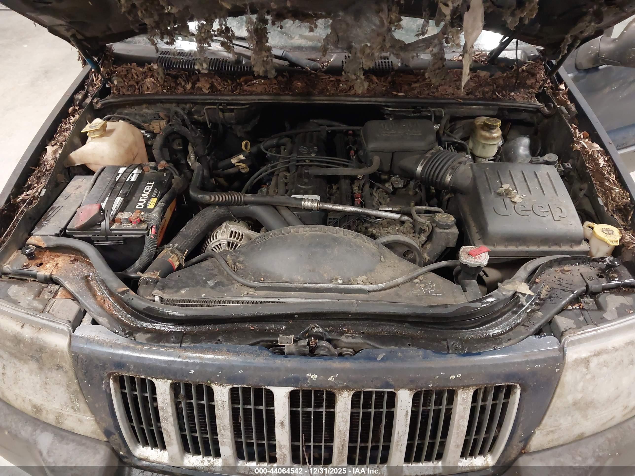 JEEP GRAND image 10