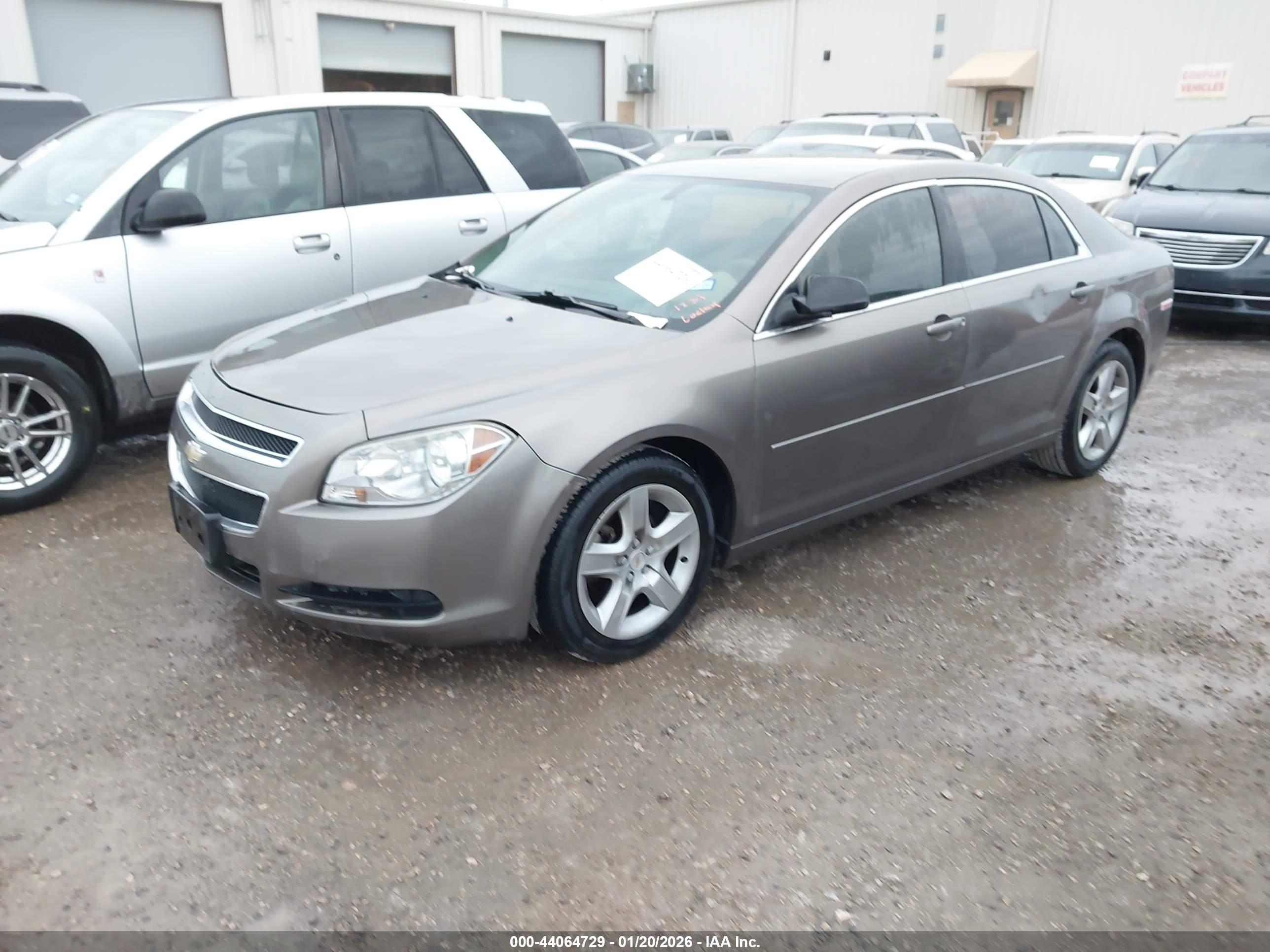 CHEVROLET MALIBU image 2