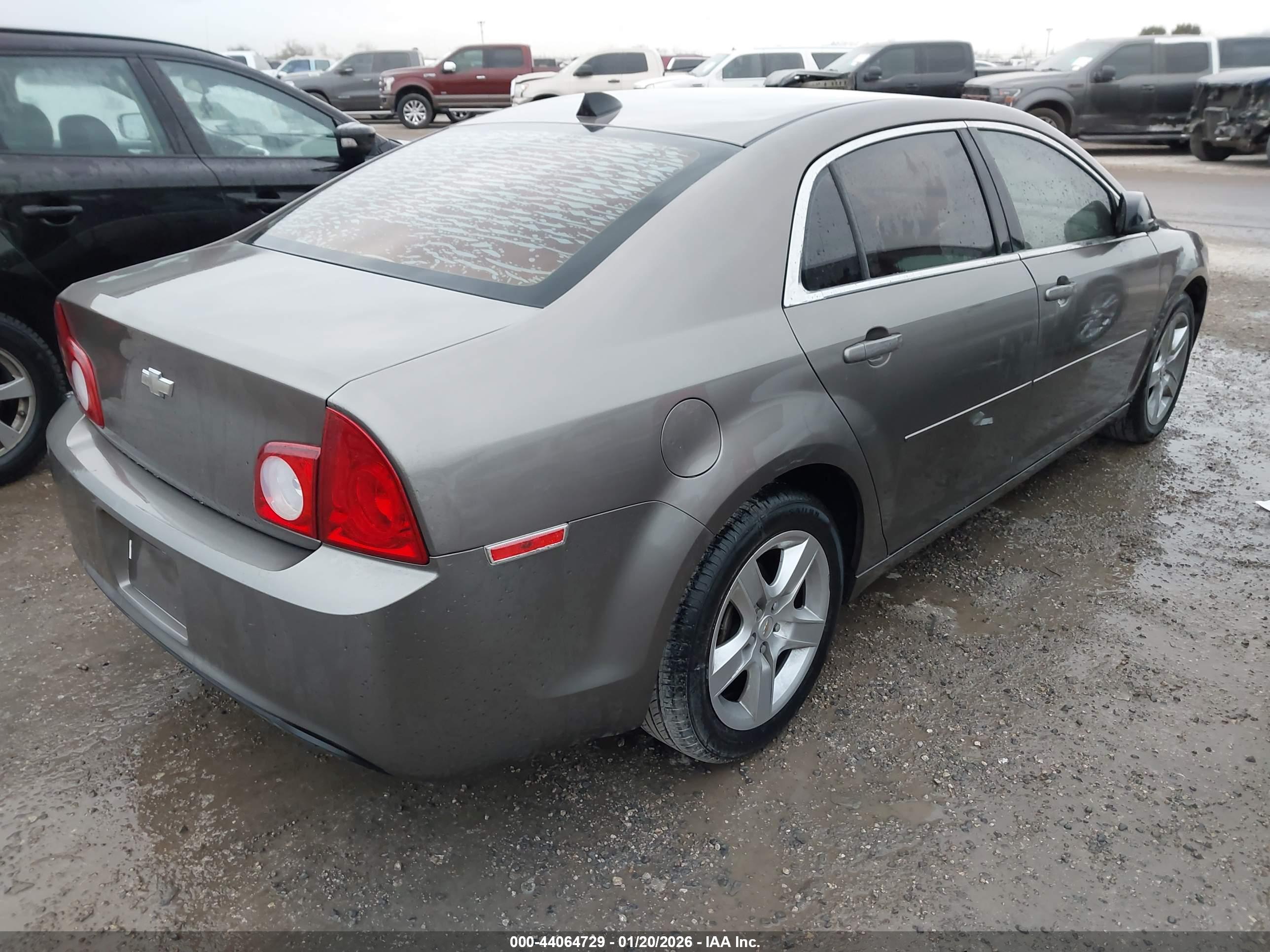 CHEVROLET MALIBU image 4