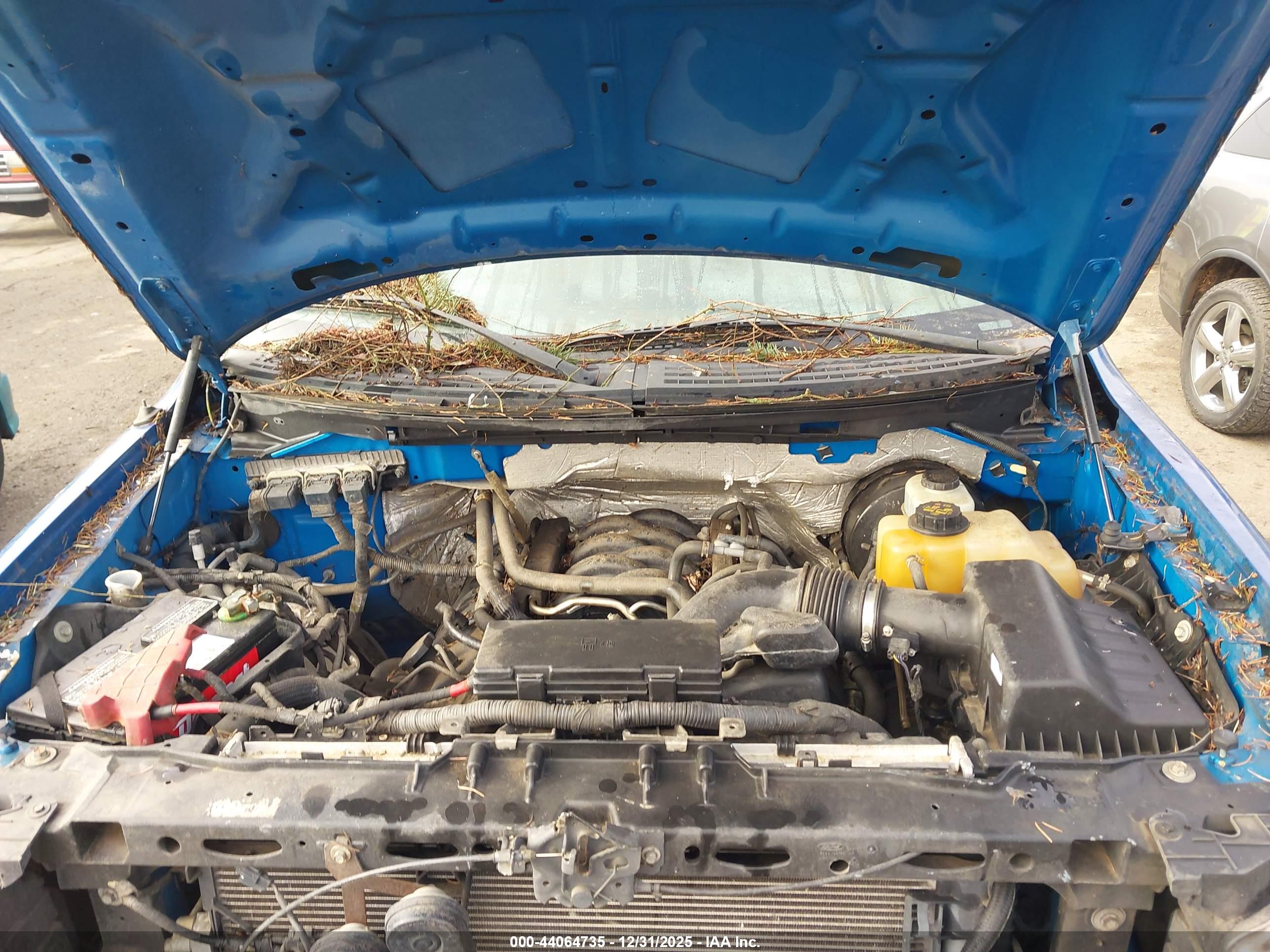 FORD F-150 image 10
