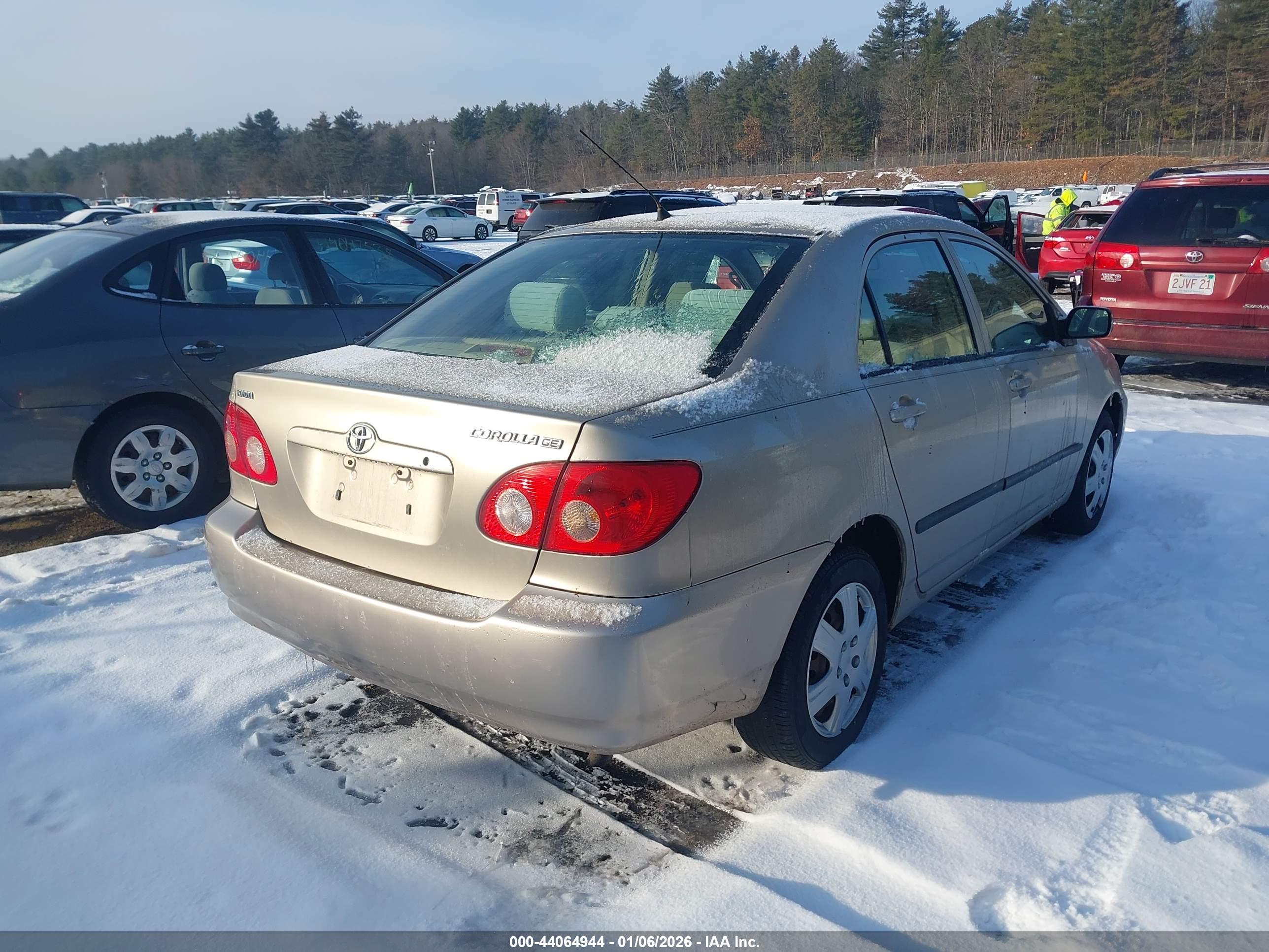TOYOTA COROLLA image 4
