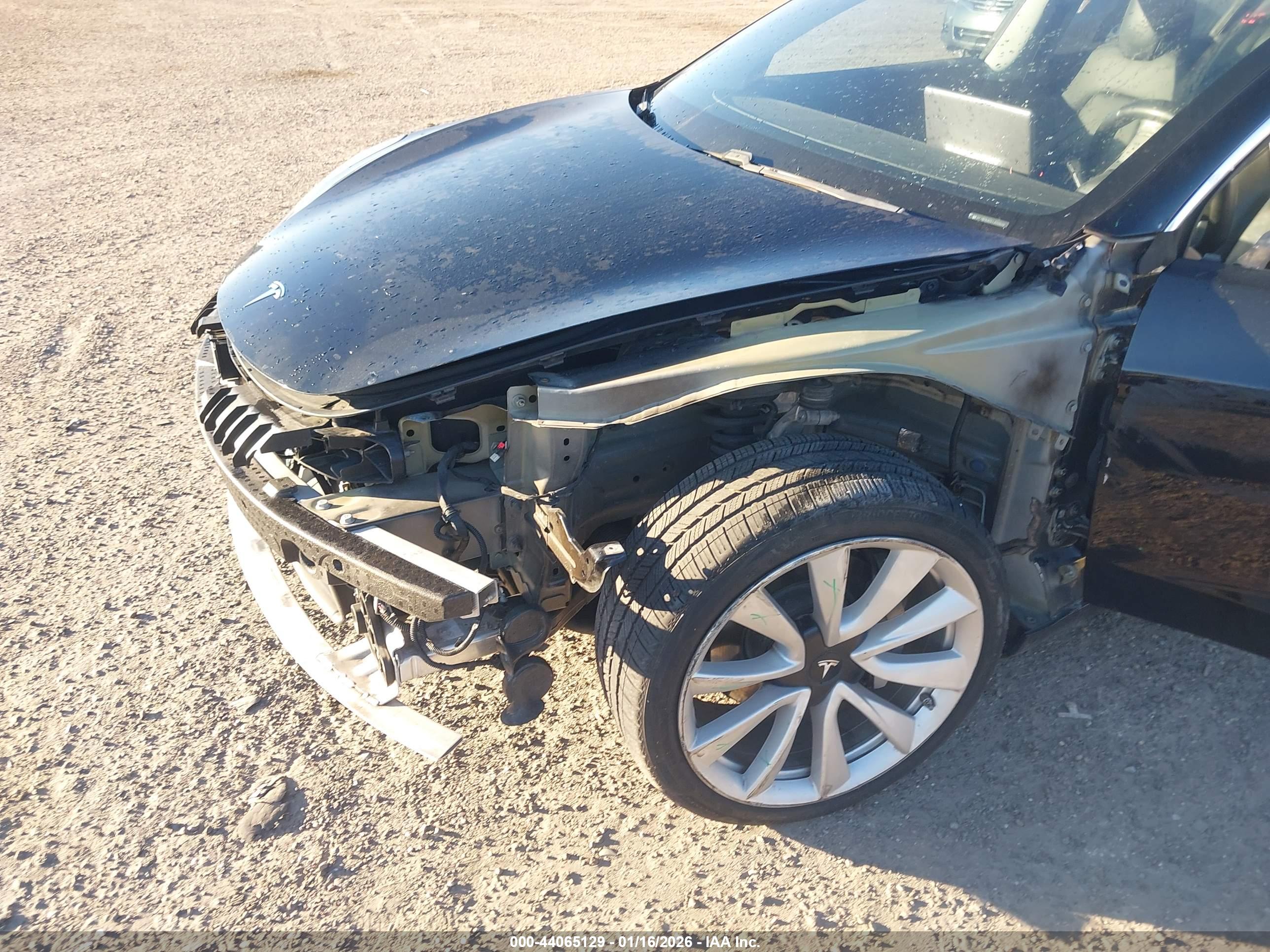 TESLA MODEL image 6