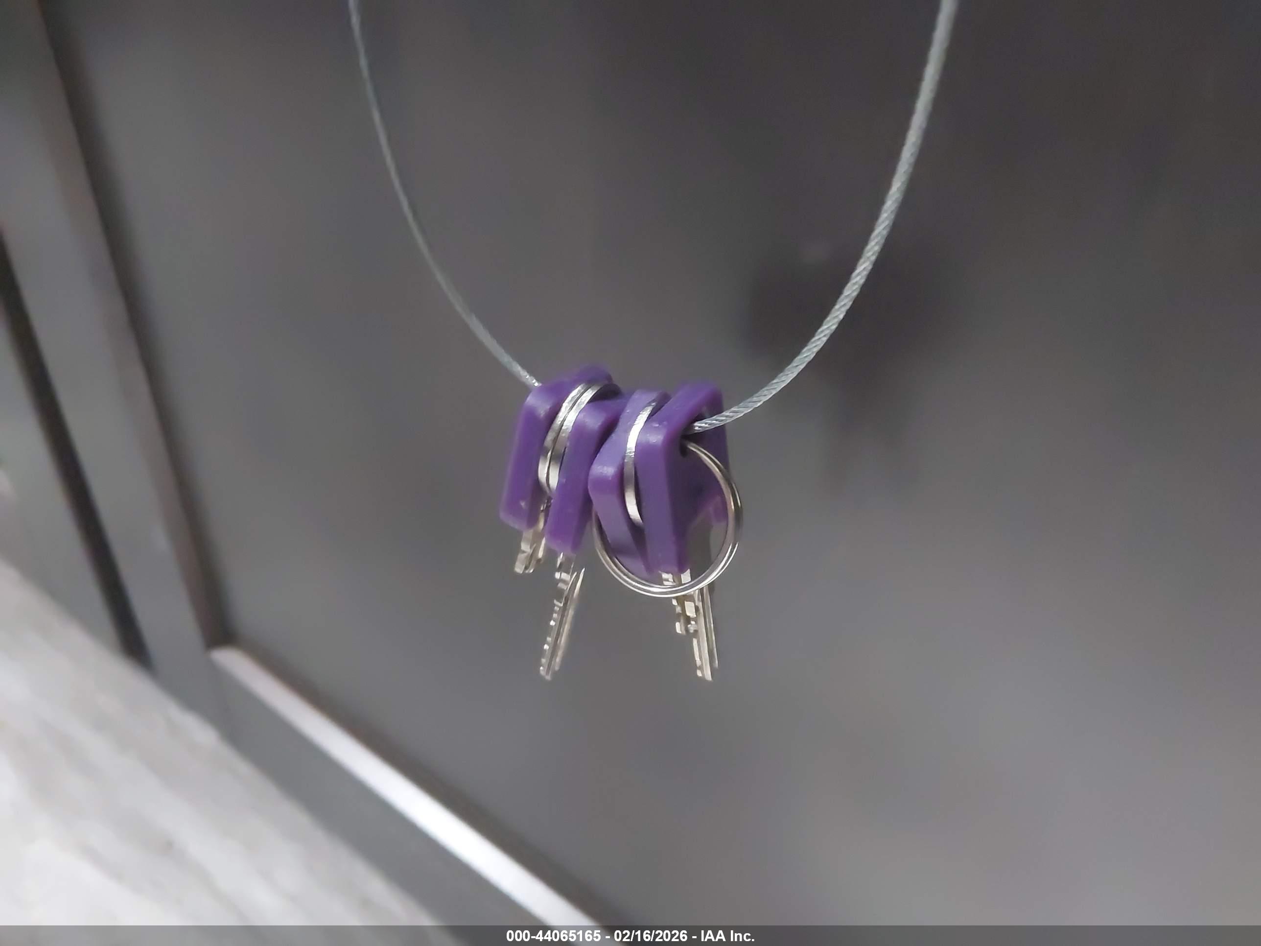 GRAND DESIGN image 11