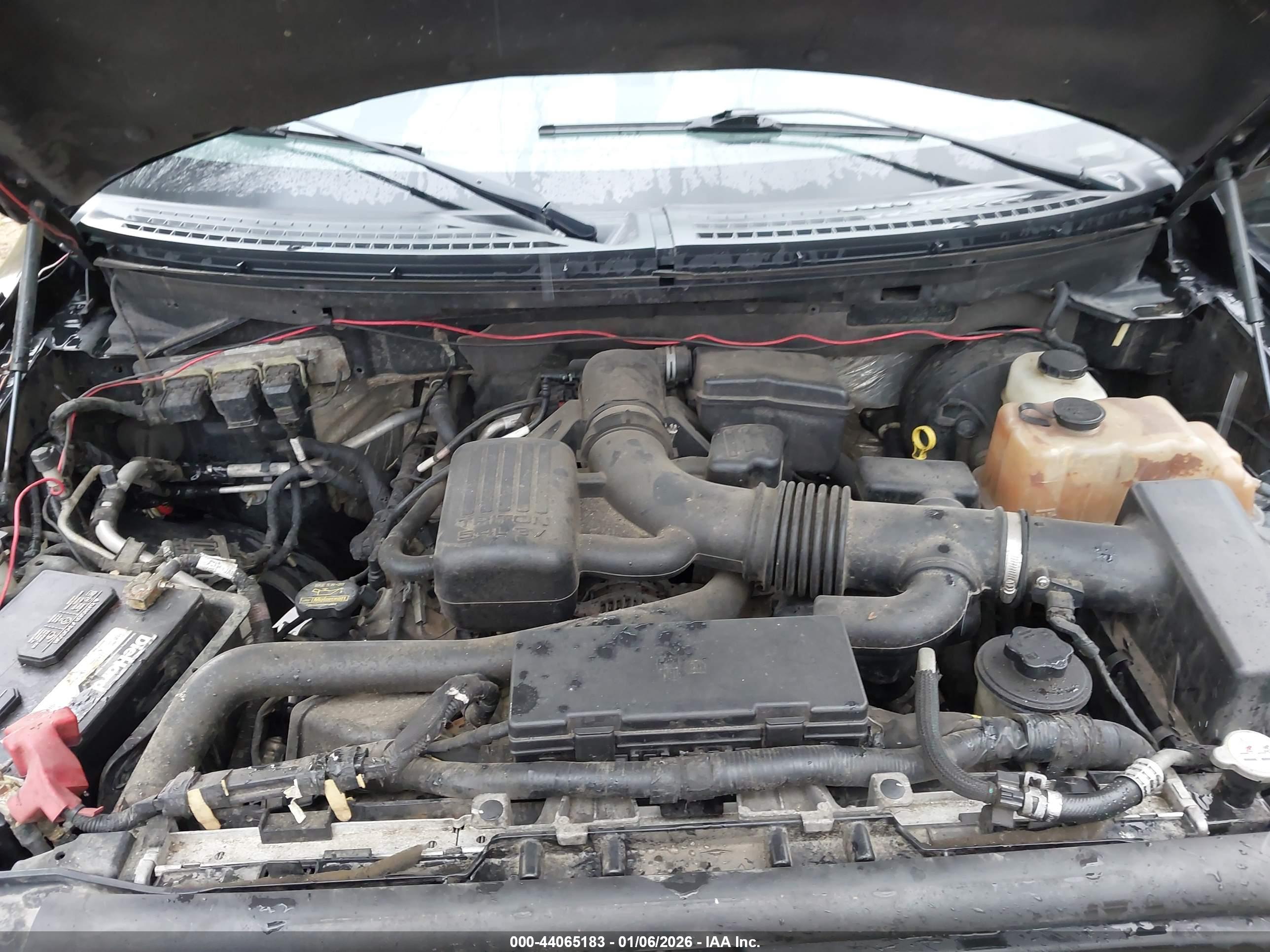 FORD F-150 image 10