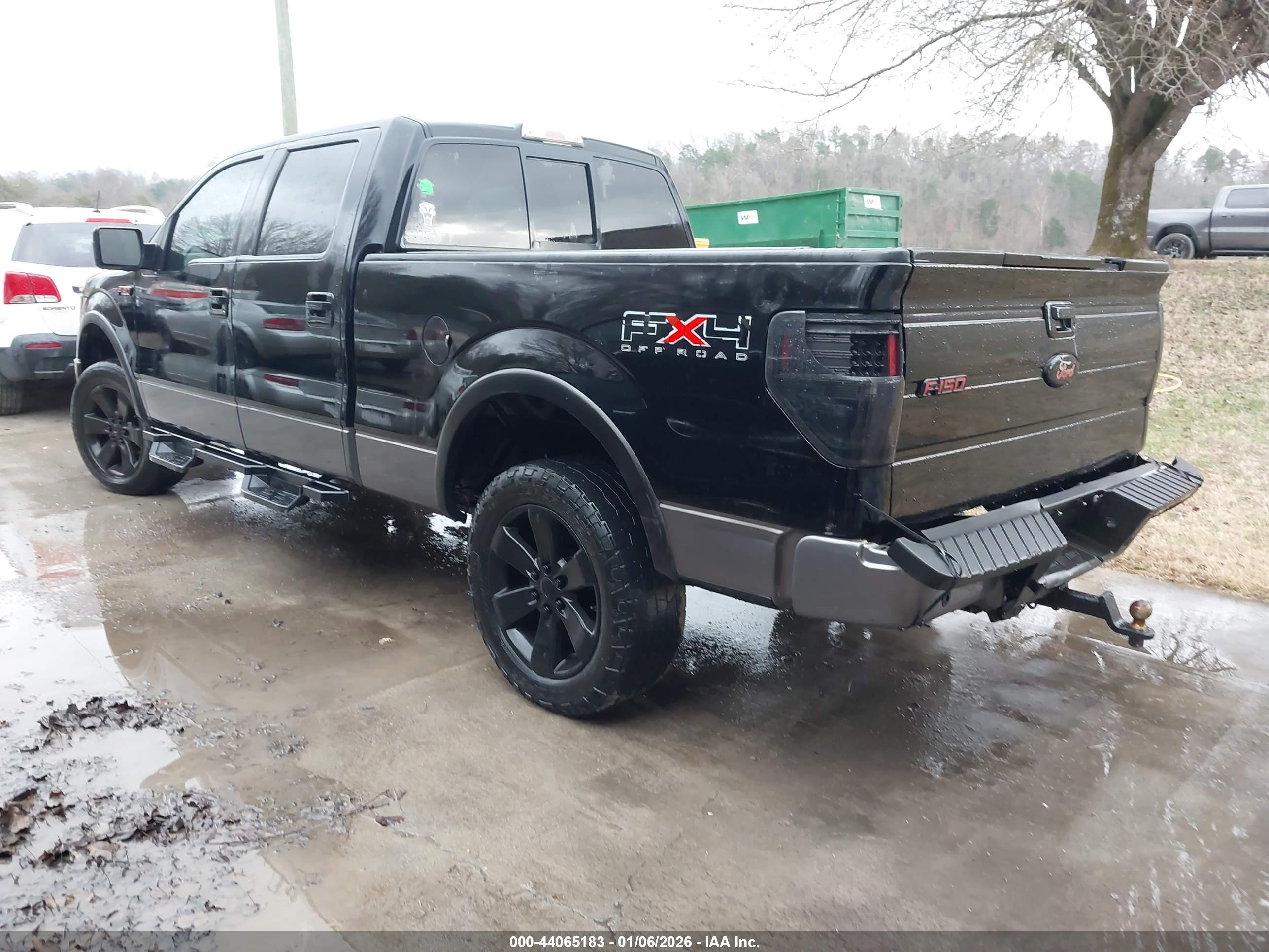 FORD F-150 image 3