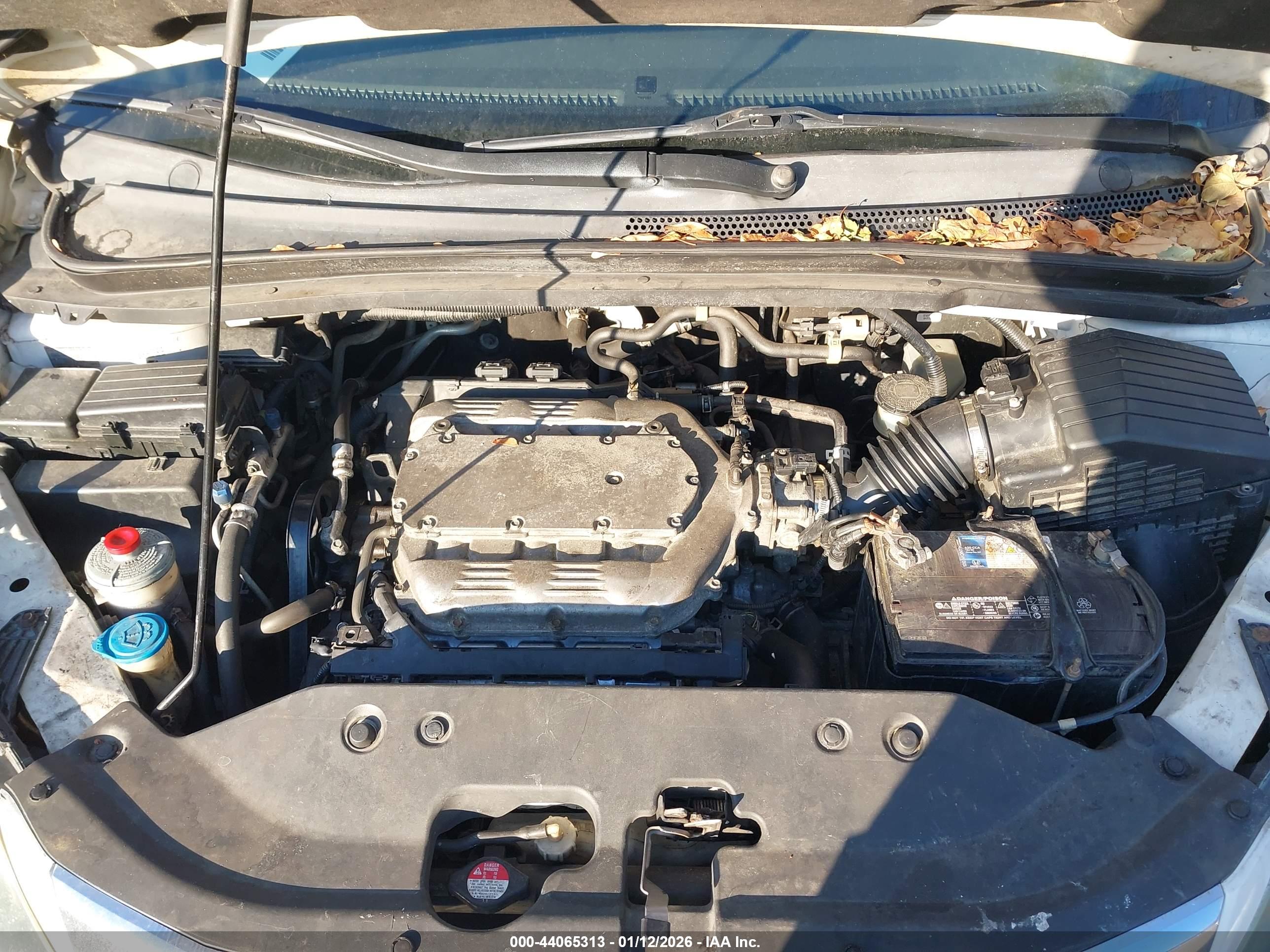 HONDA ODYSSEY image 10