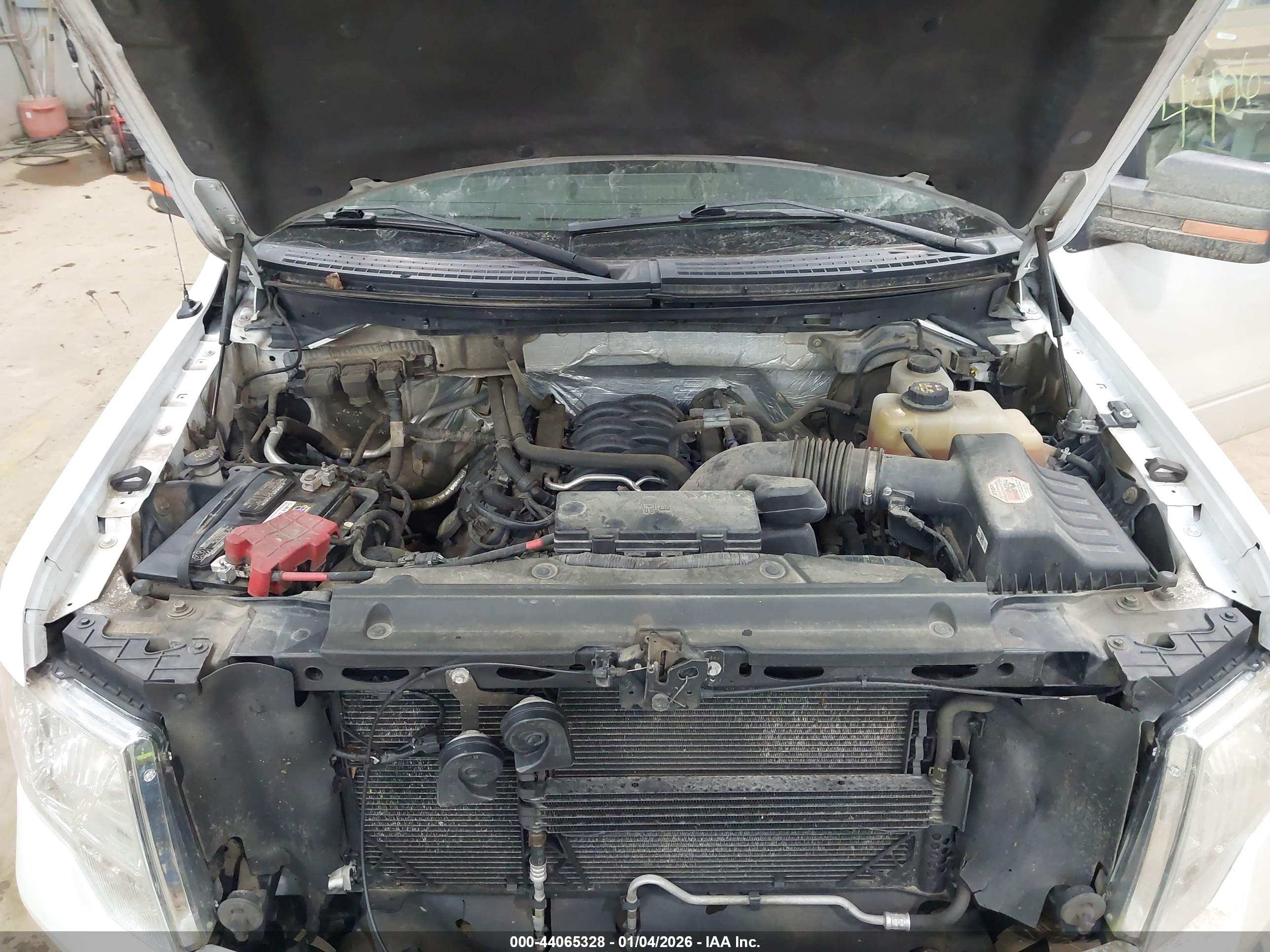 FORD F-150 image 10