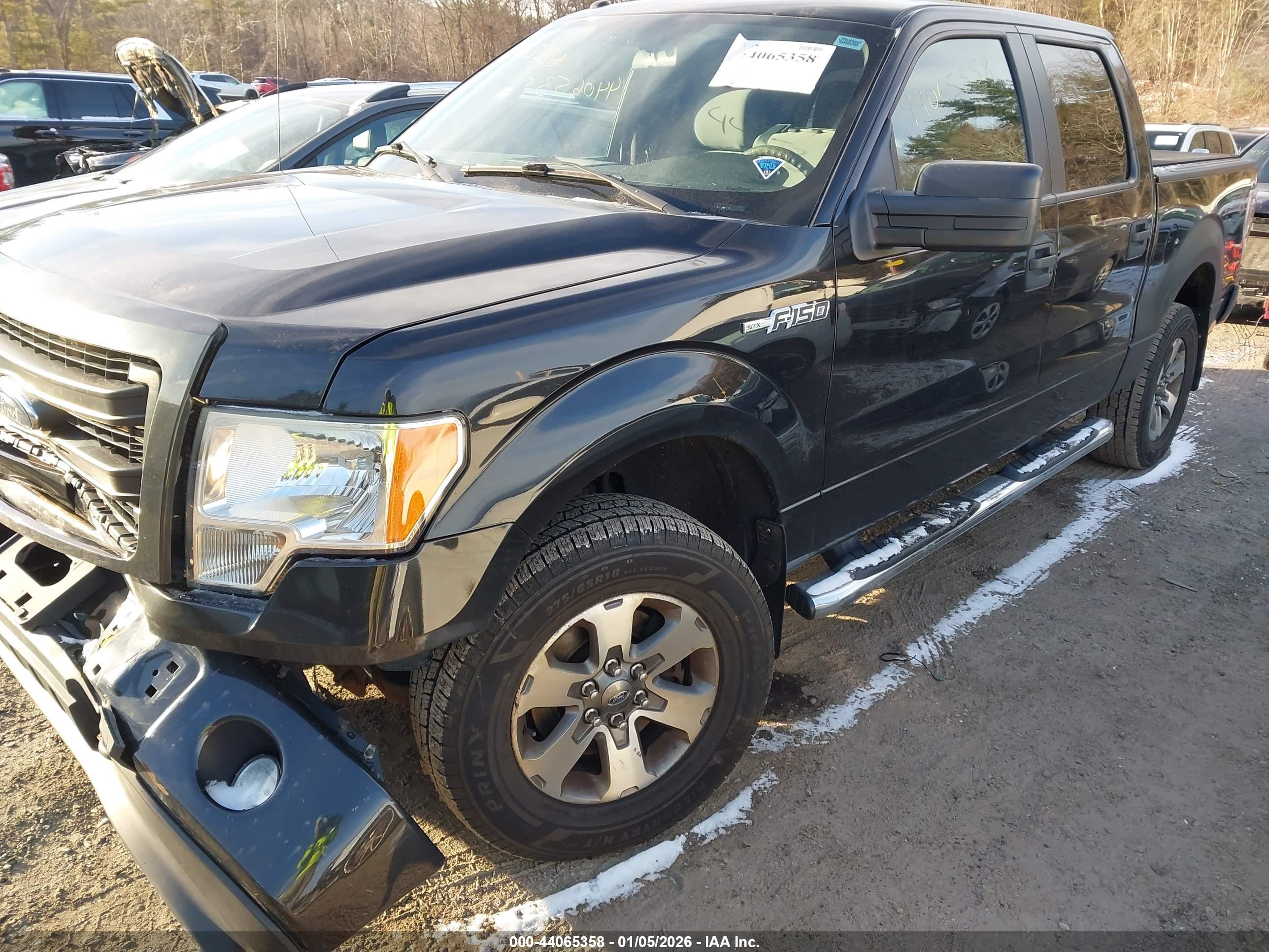 FORD F-150 image 2