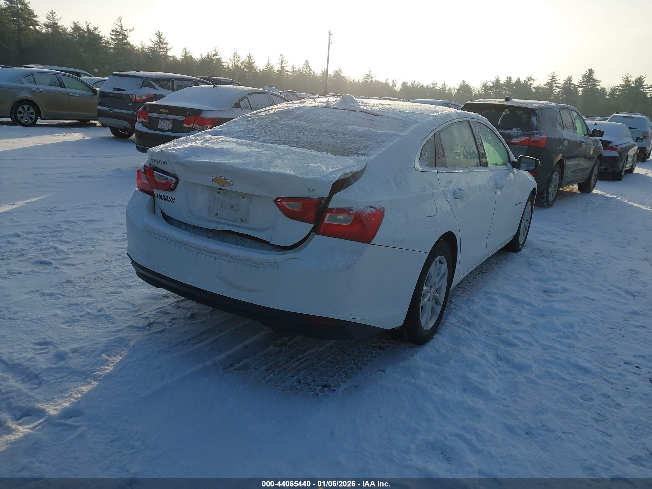 CHEVROLET MALIBU image 4