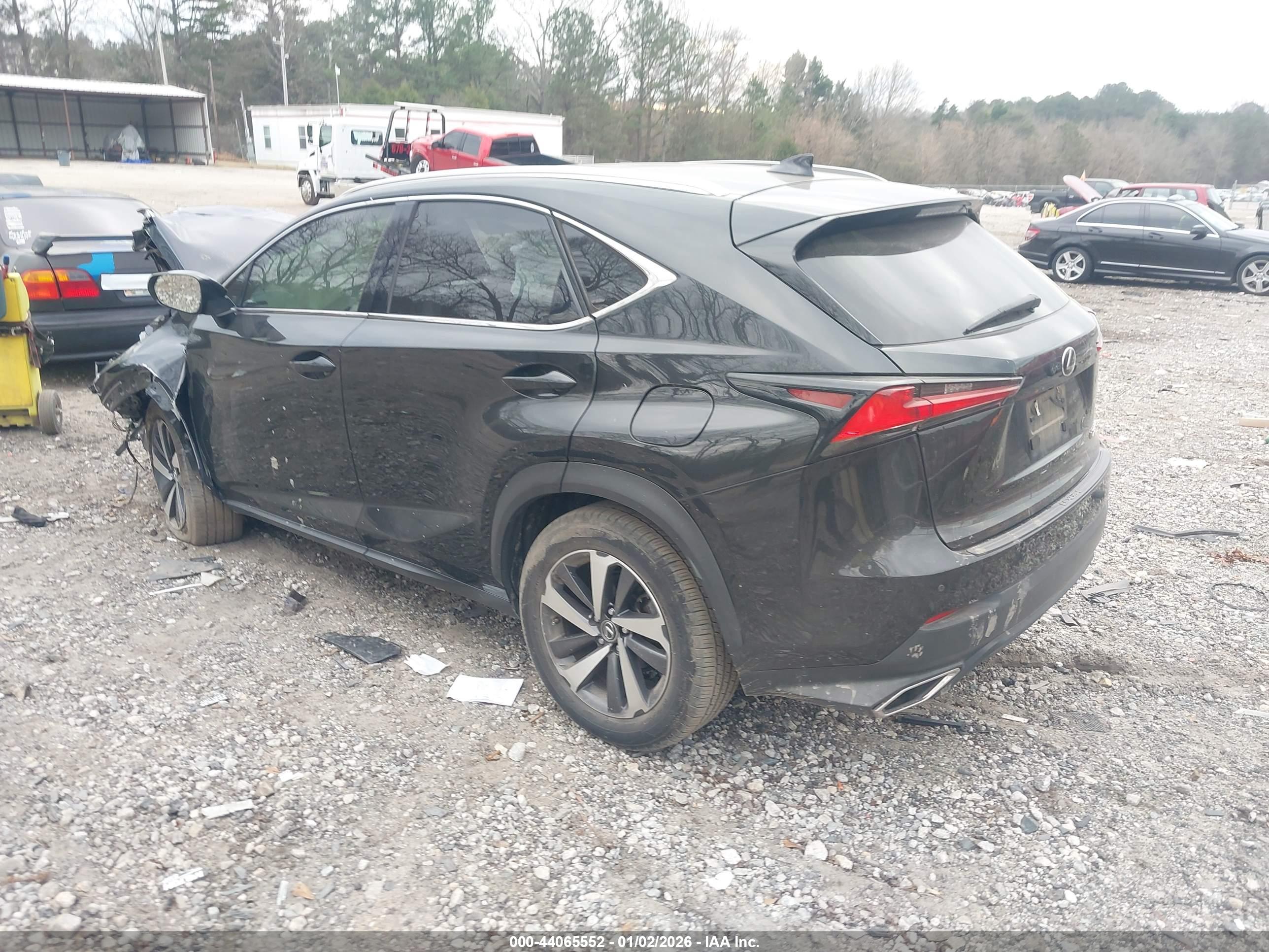 LEXUS NX image 3