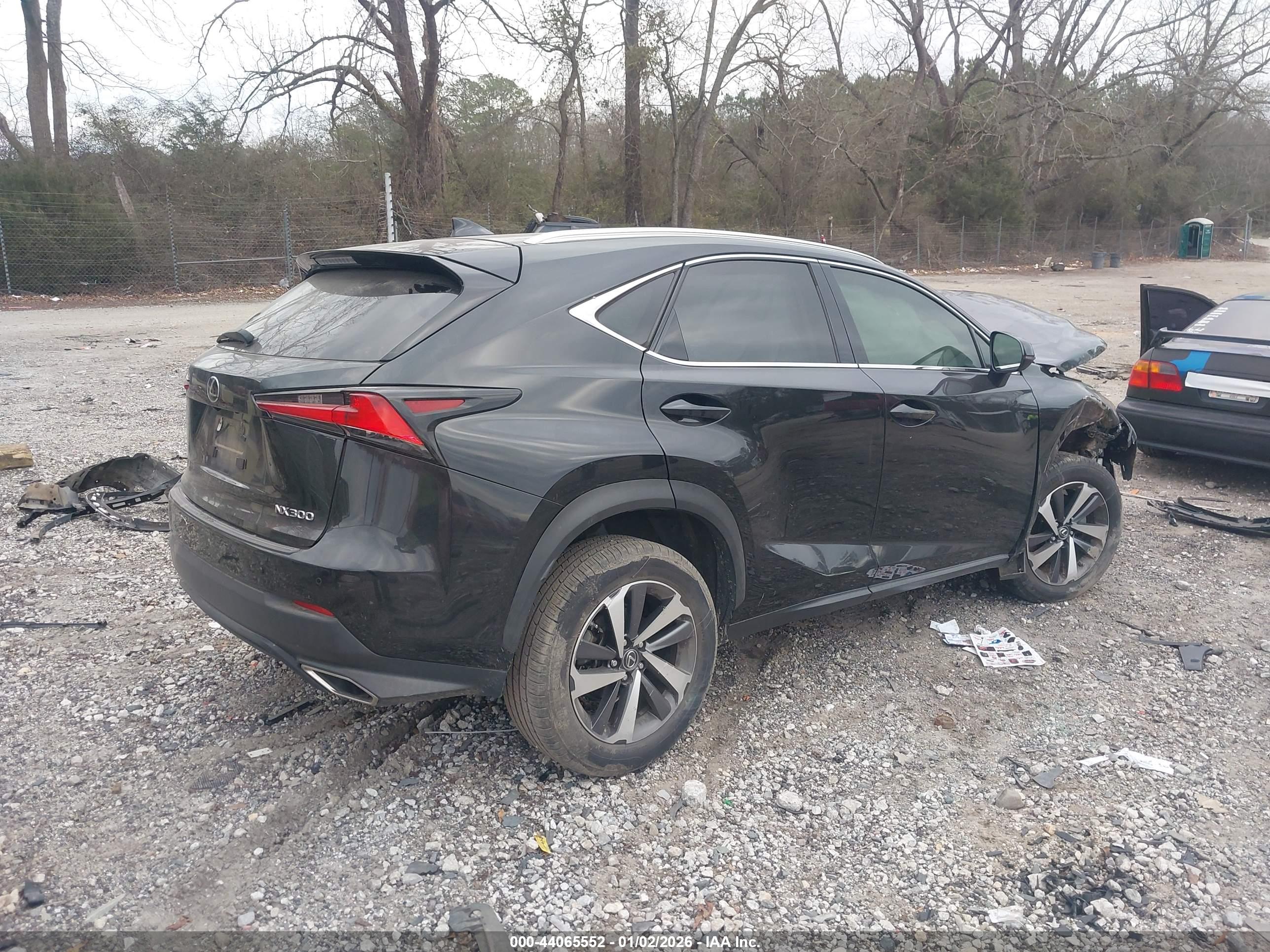LEXUS NX image 4