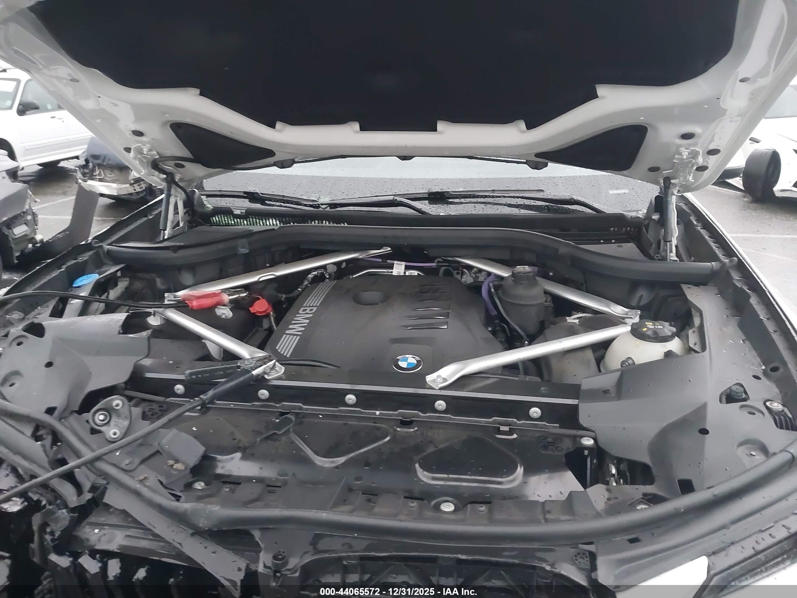 BMW X7 image 10