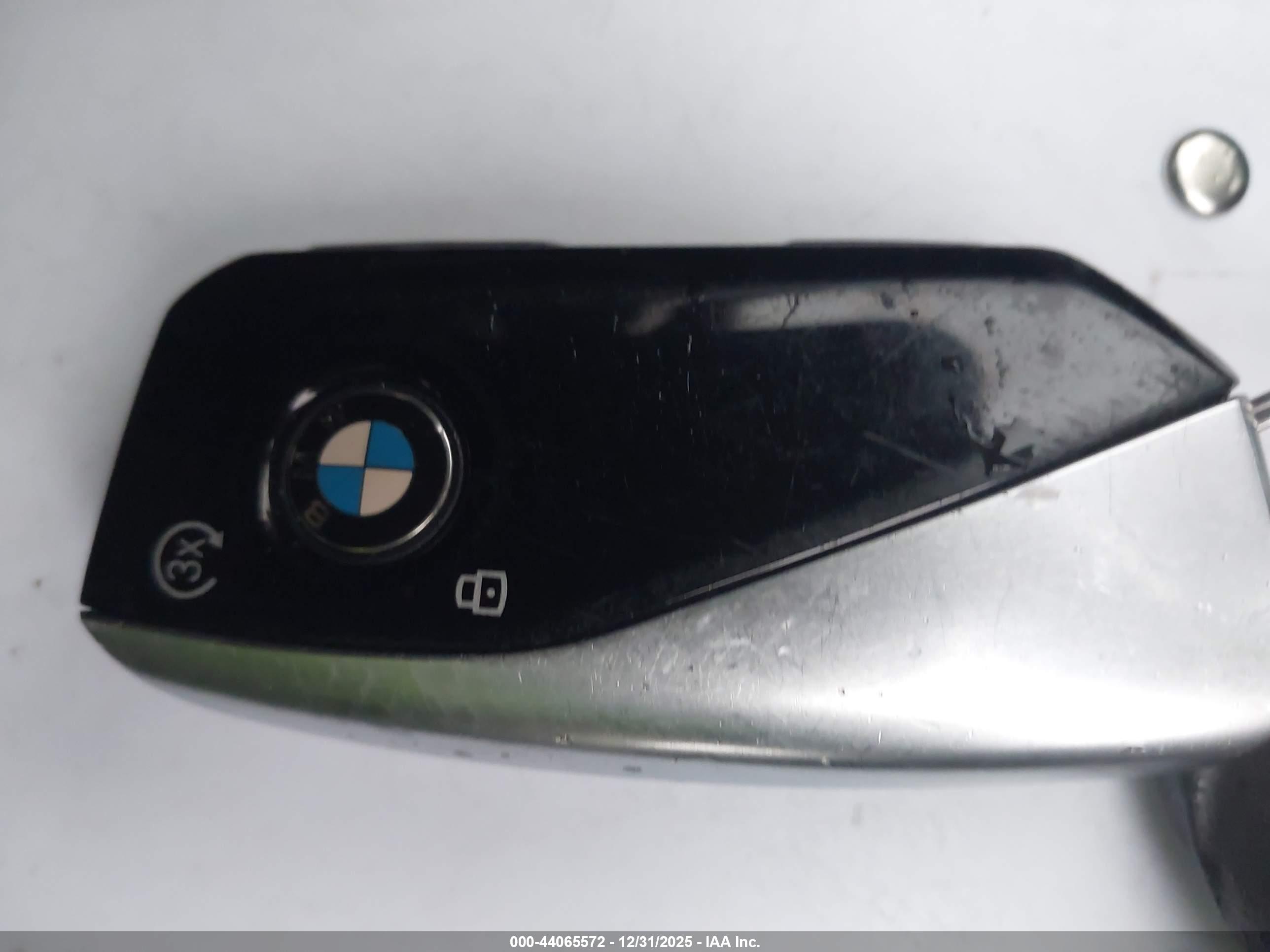 BMW X7 image 11