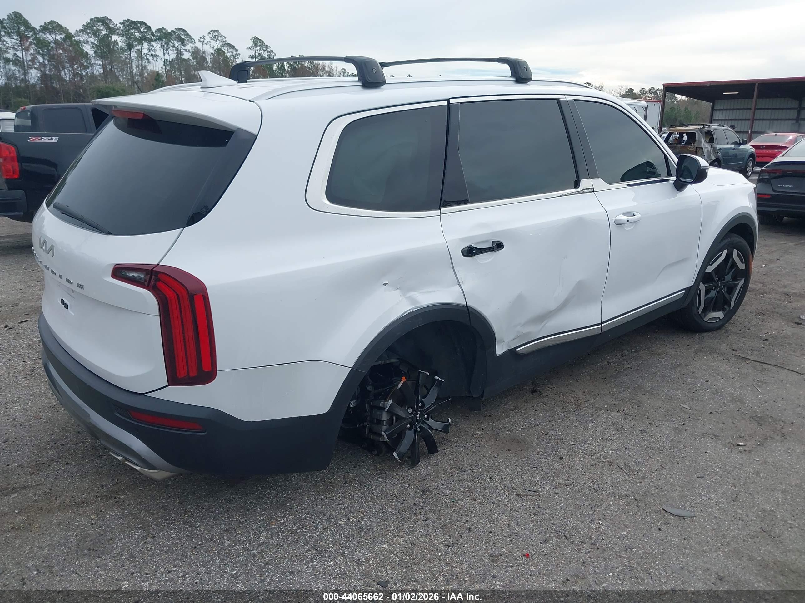 KIA TELLURIDE image 4
