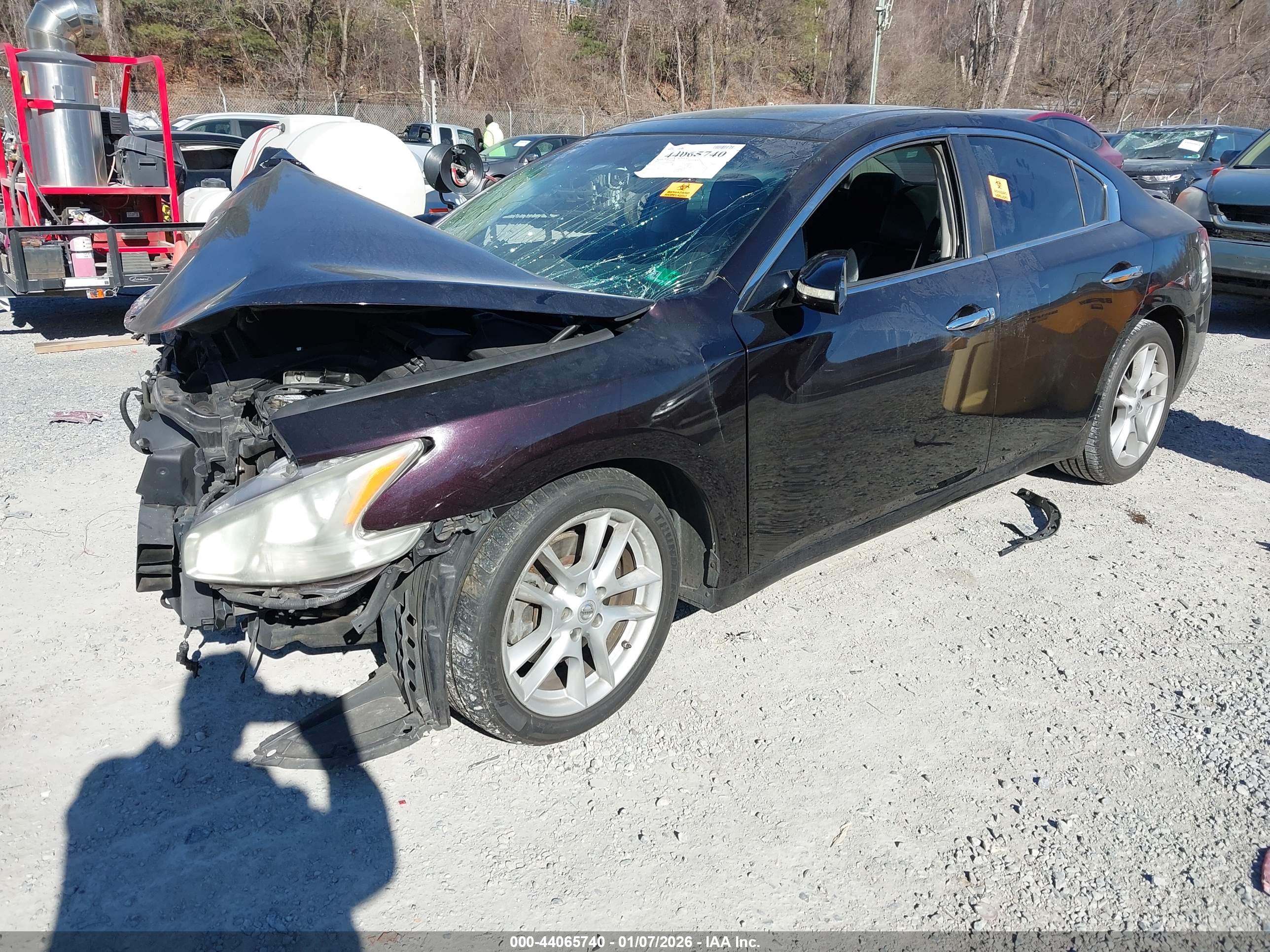 NISSAN MAXIMA image 2