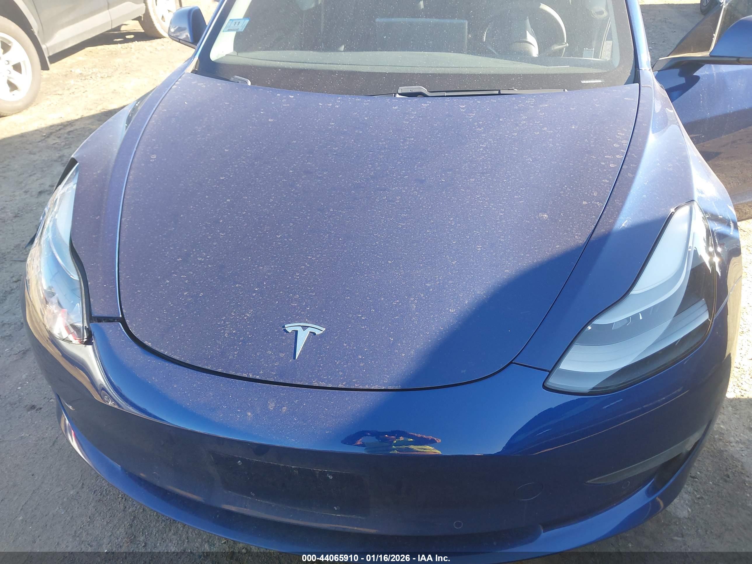 TESLA MODEL image 10