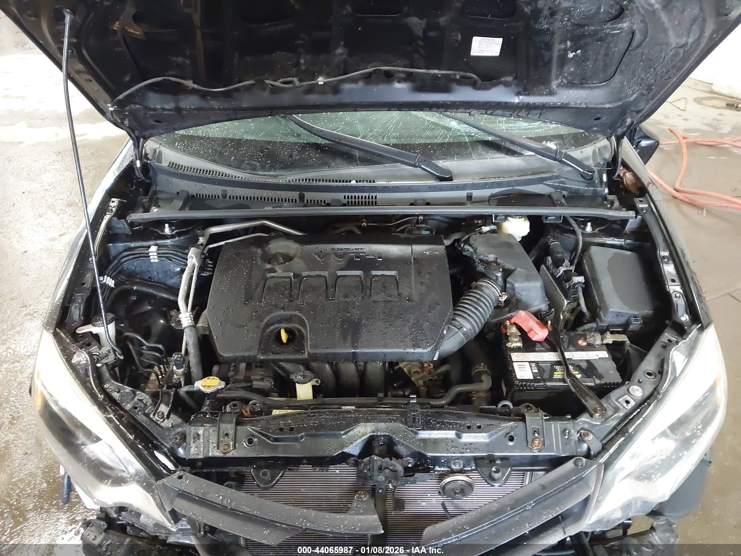 TOYOTA COROLLA image 10