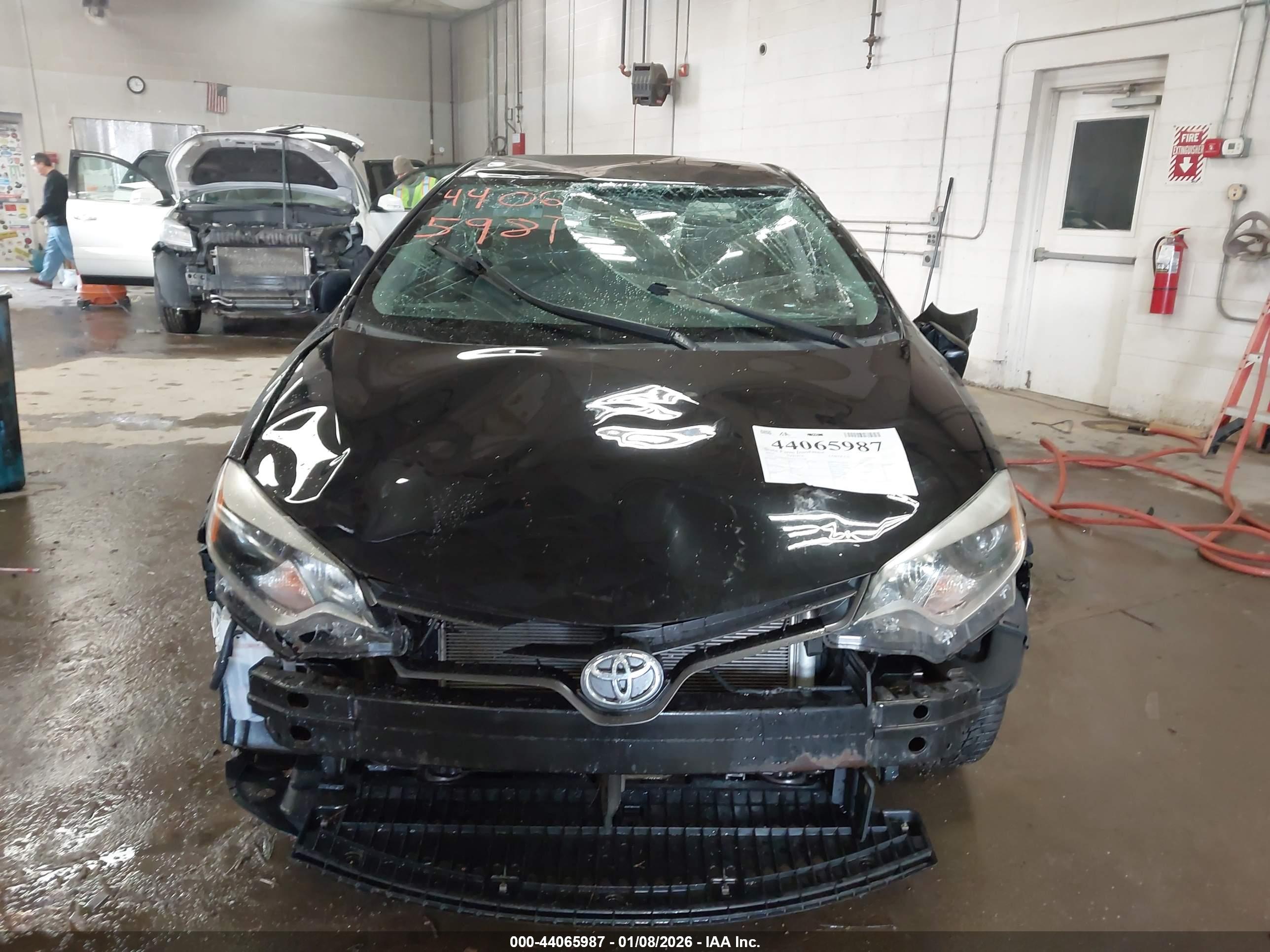 TOYOTA COROLLA image 6
