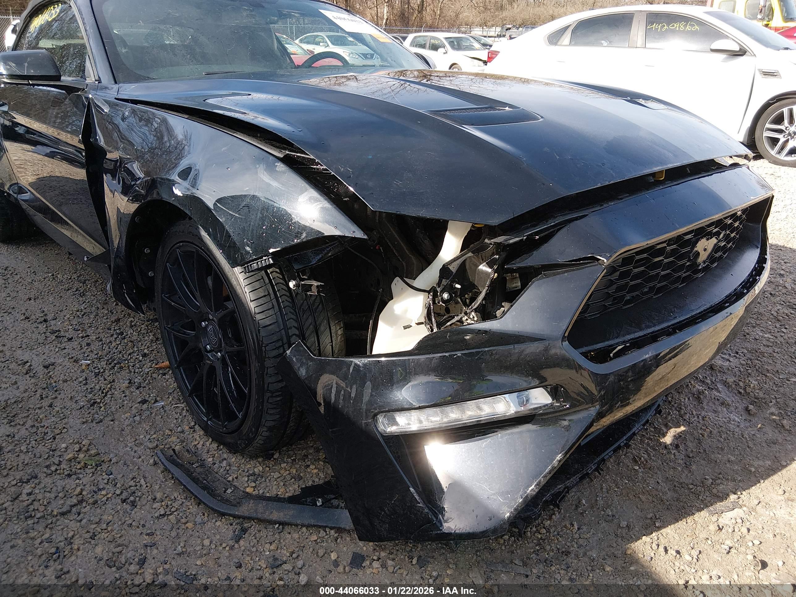 FORD MUSTANG image 6