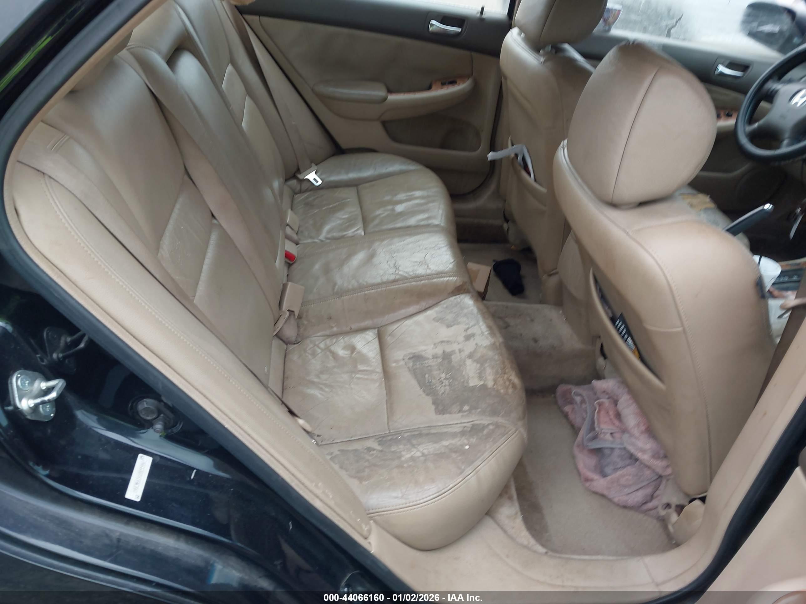 HONDA ACCORD image 8