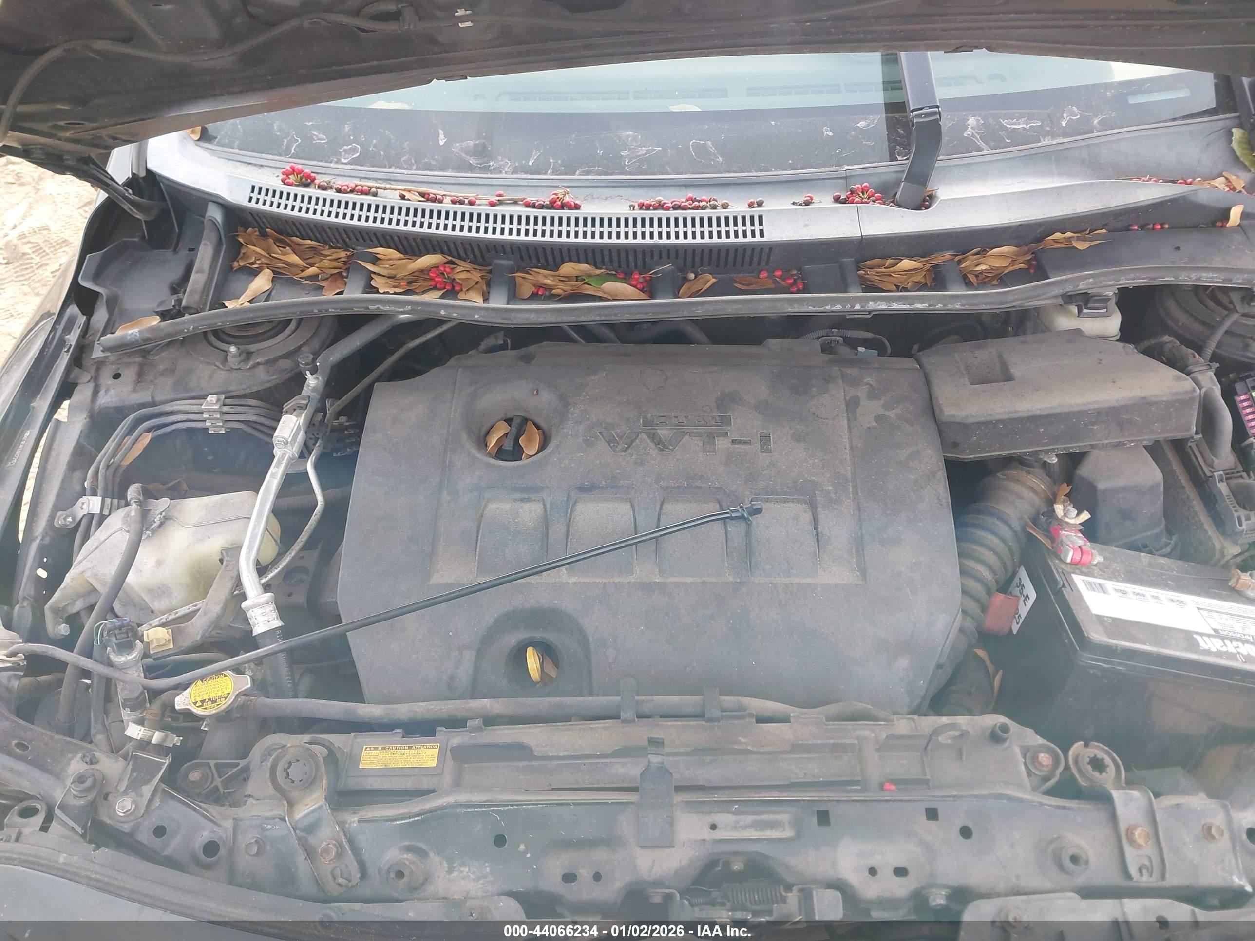 TOYOTA COROLLA image 10