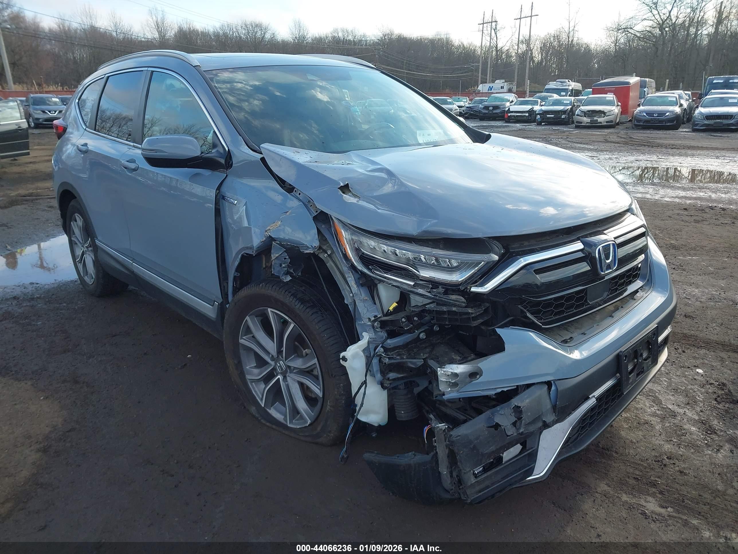 HONDA CR-V image 6