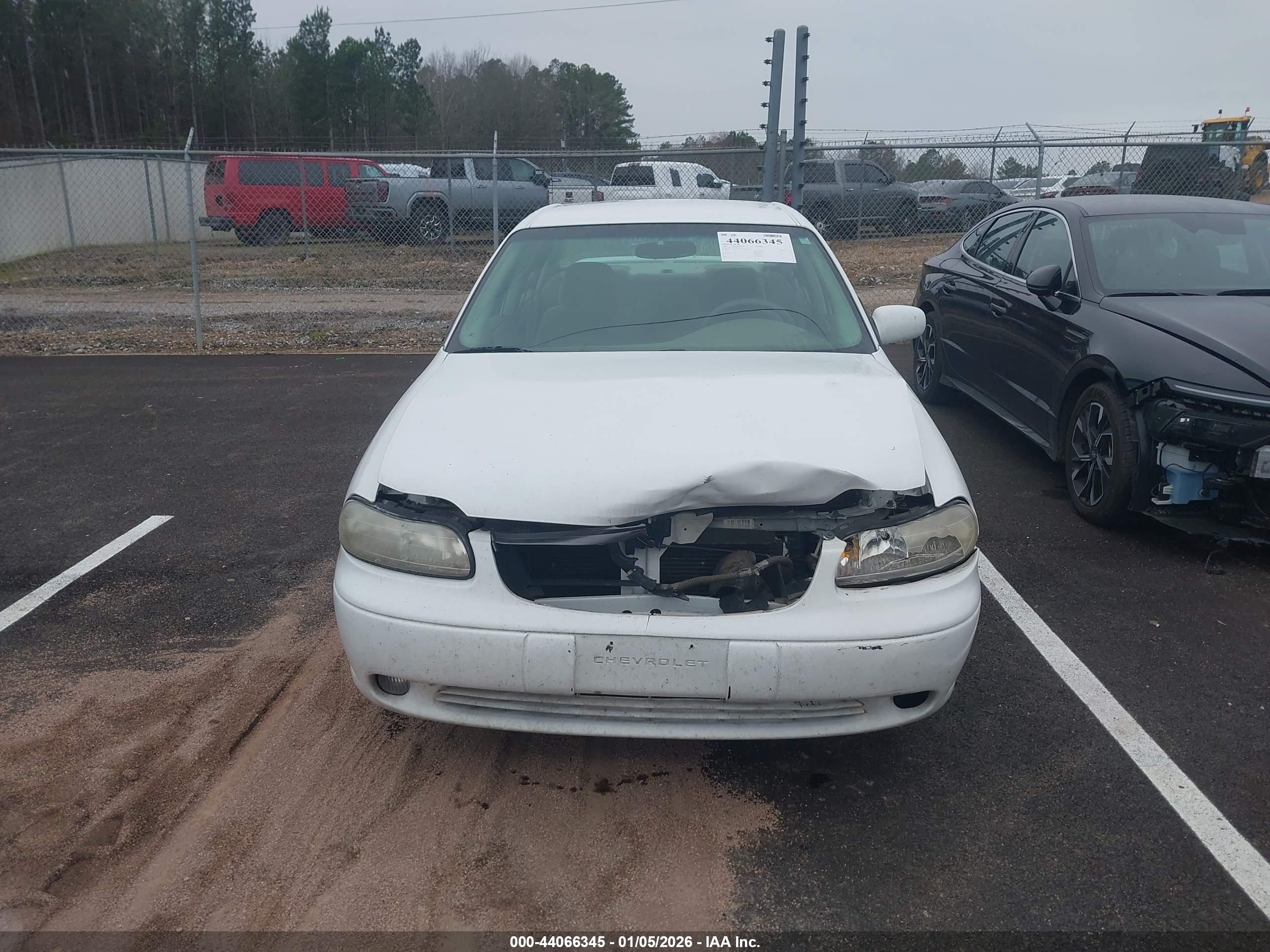 CHEVROLET MALIBU image 6