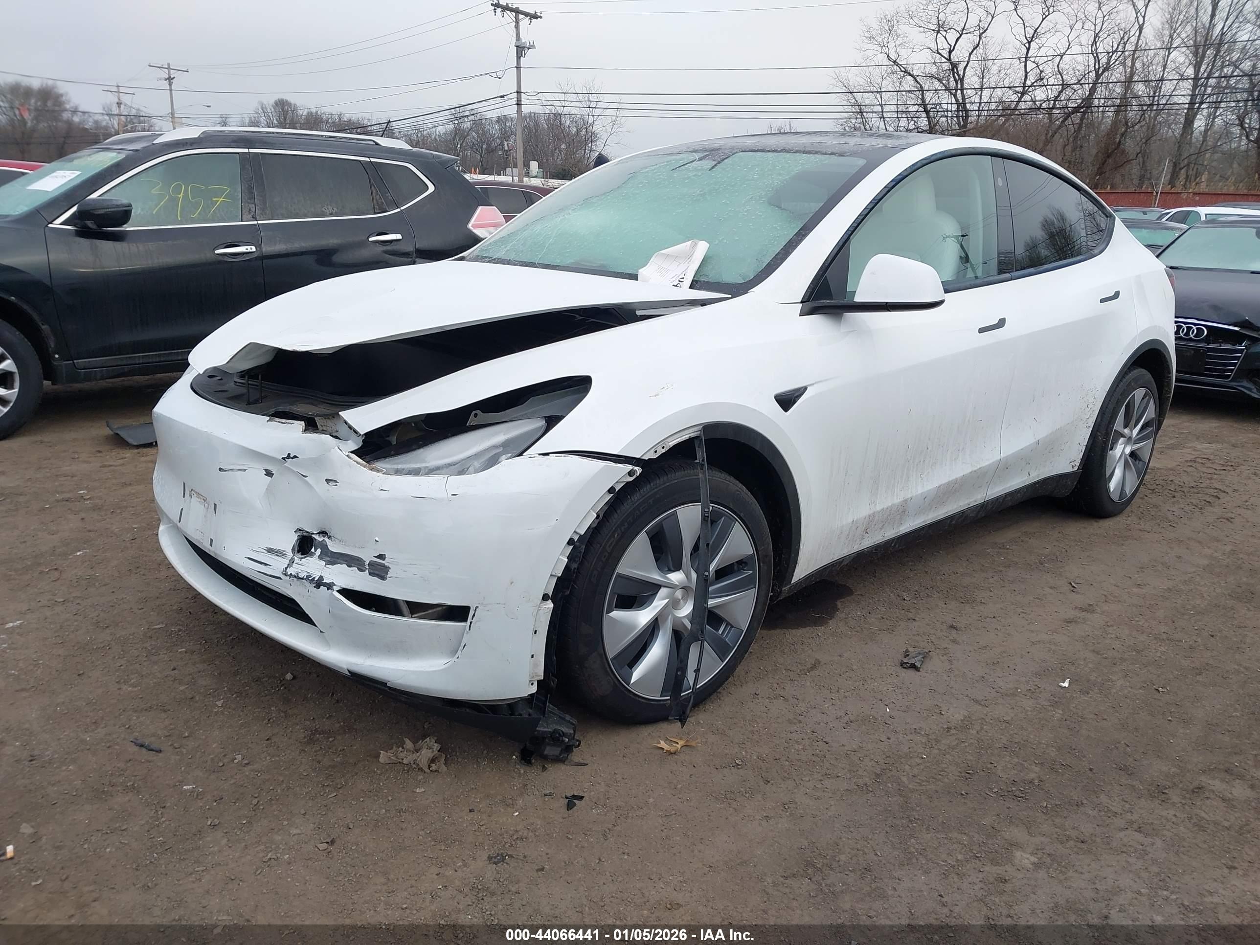 TESLA MODEL image 2