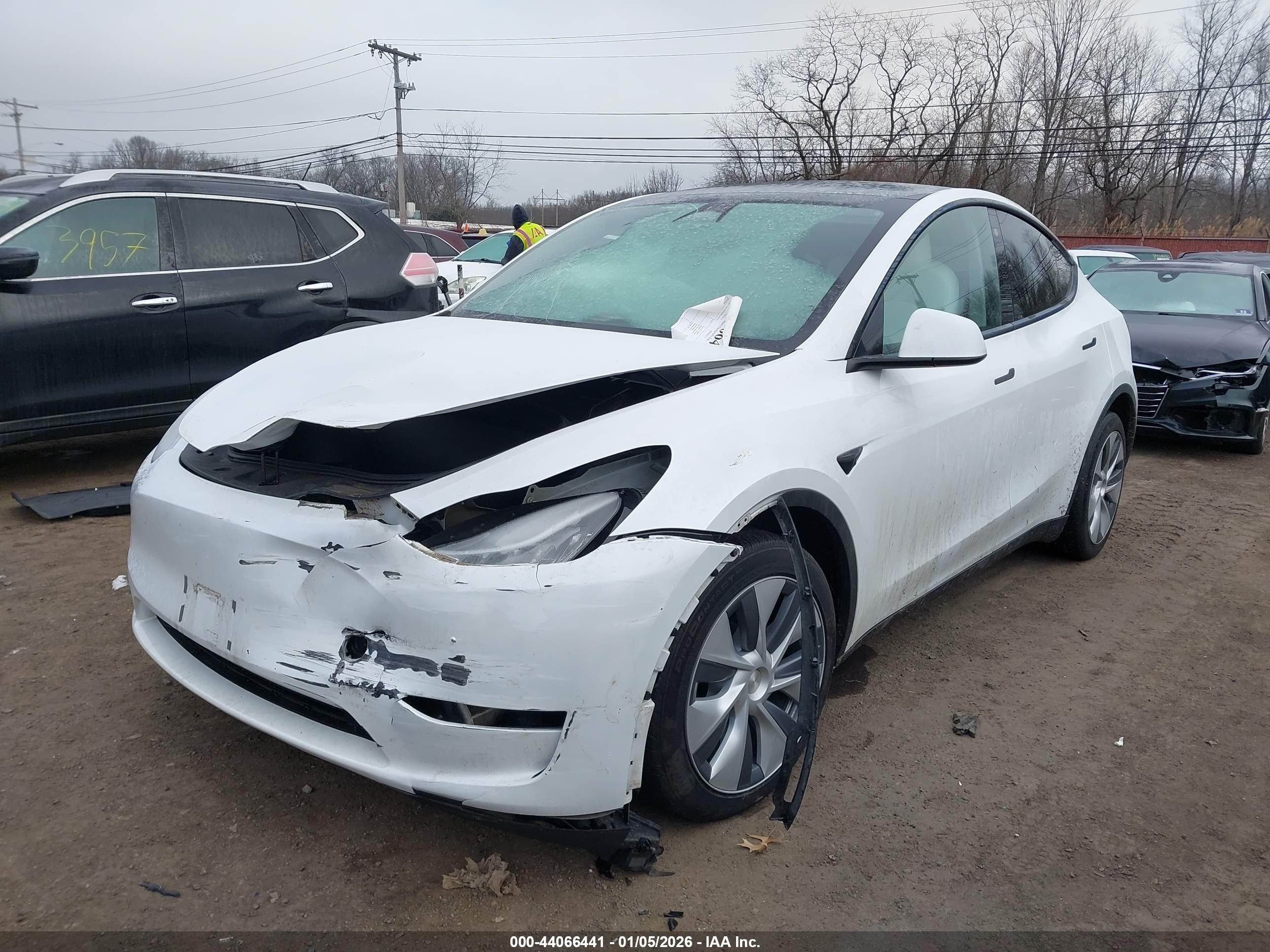 TESLA MODEL image 6