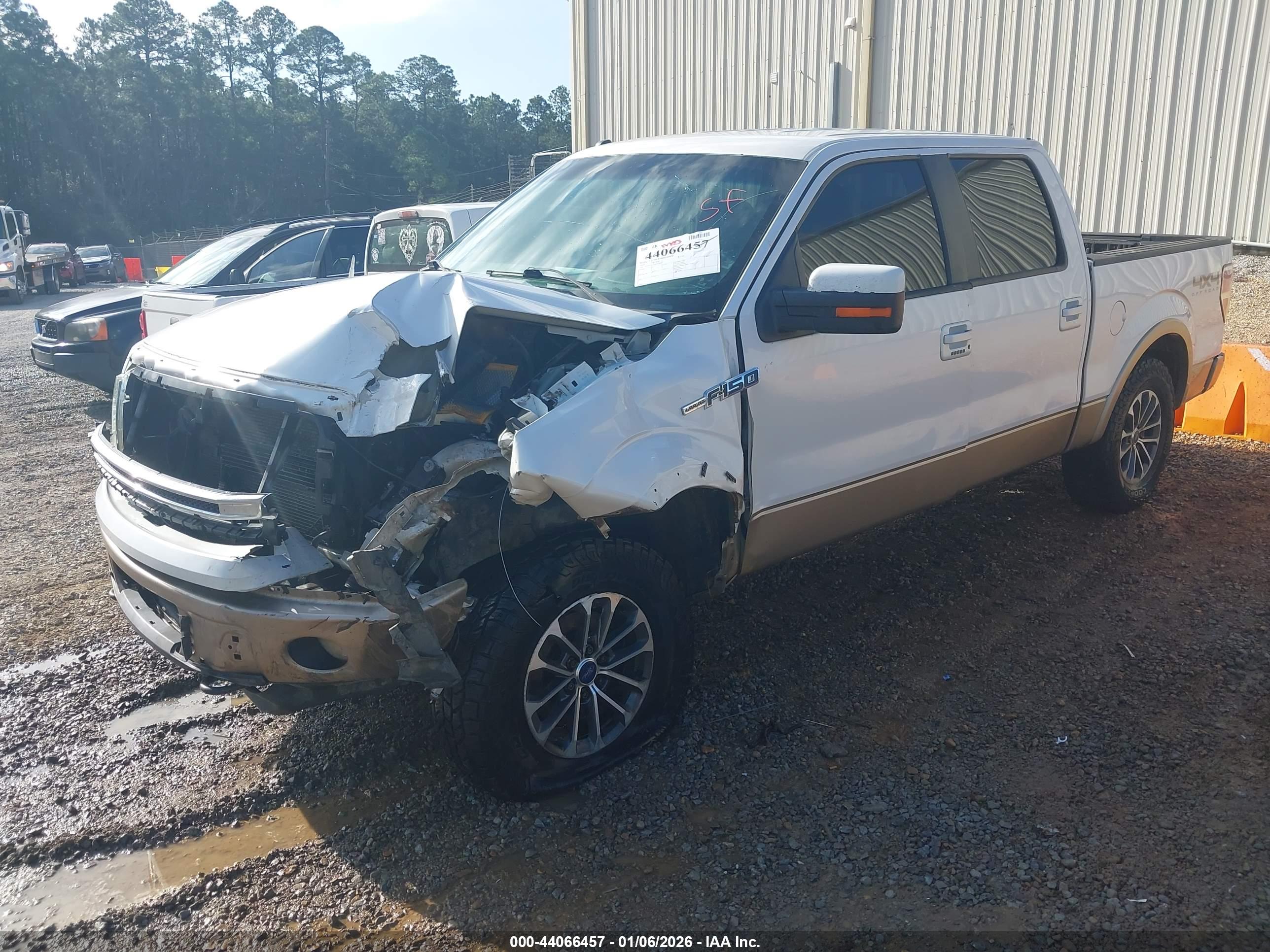 FORD F-150 image 2