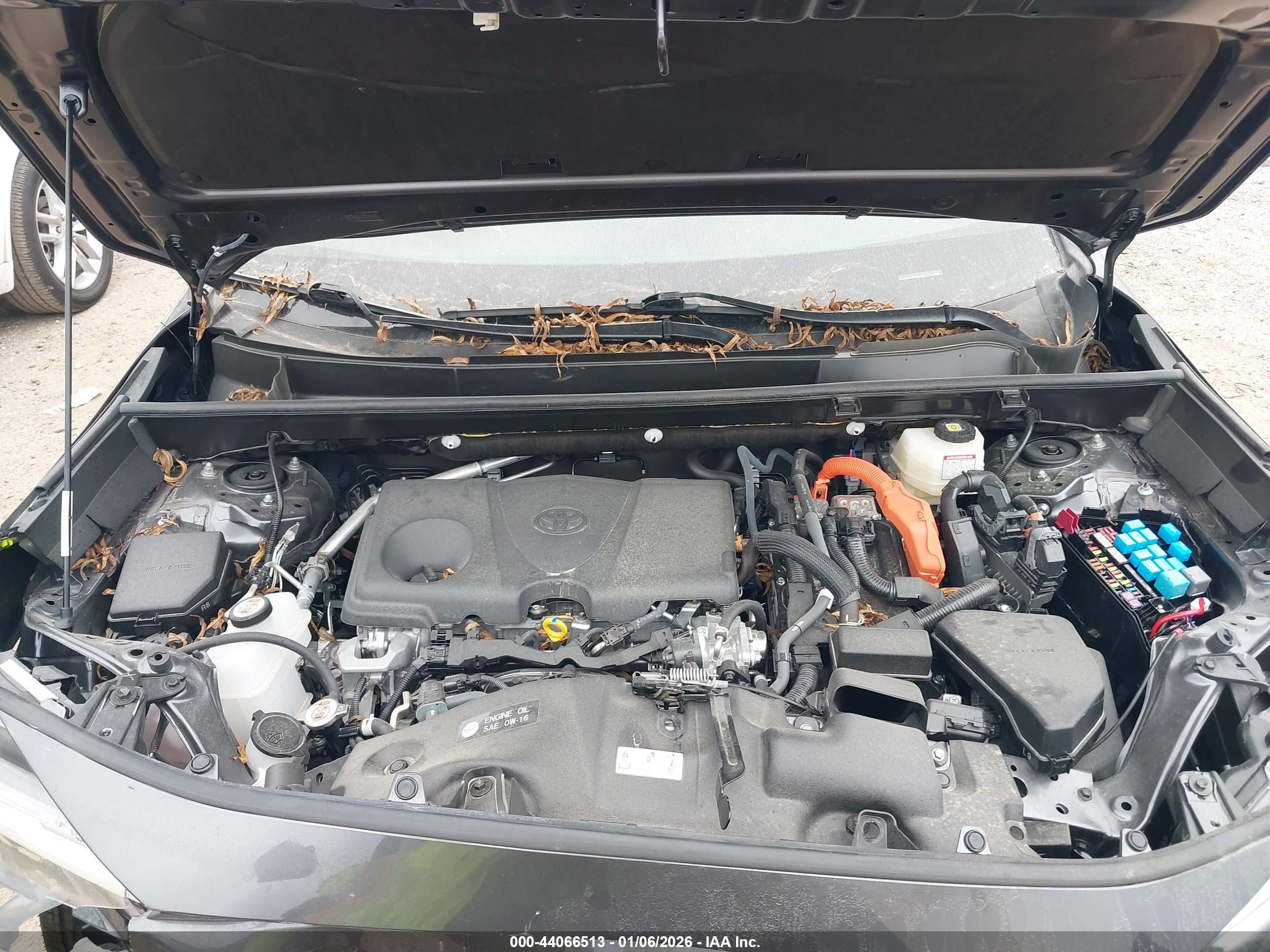 TOYOTA RAV4 image 10