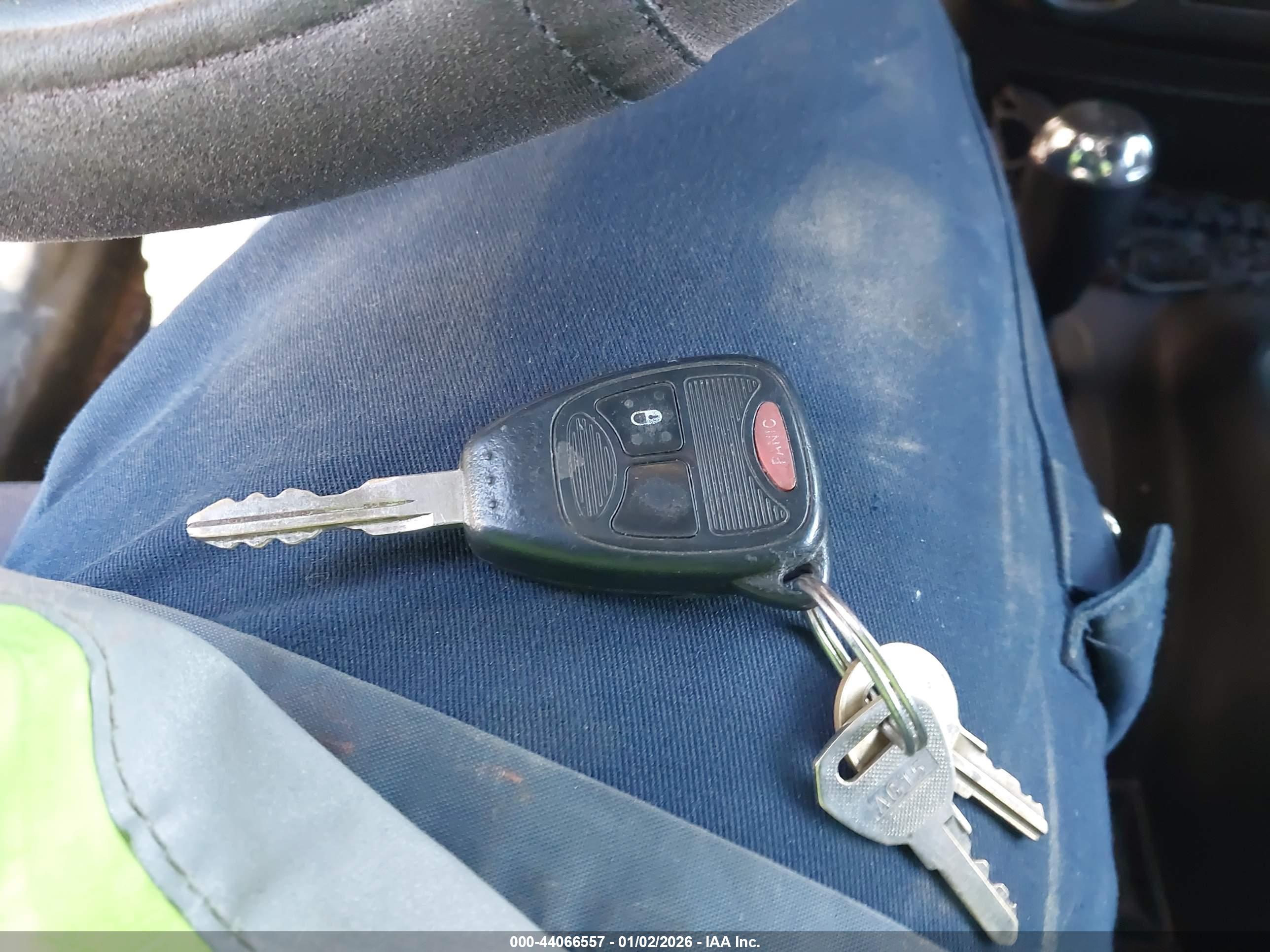 JEEP WRANGLER image 11