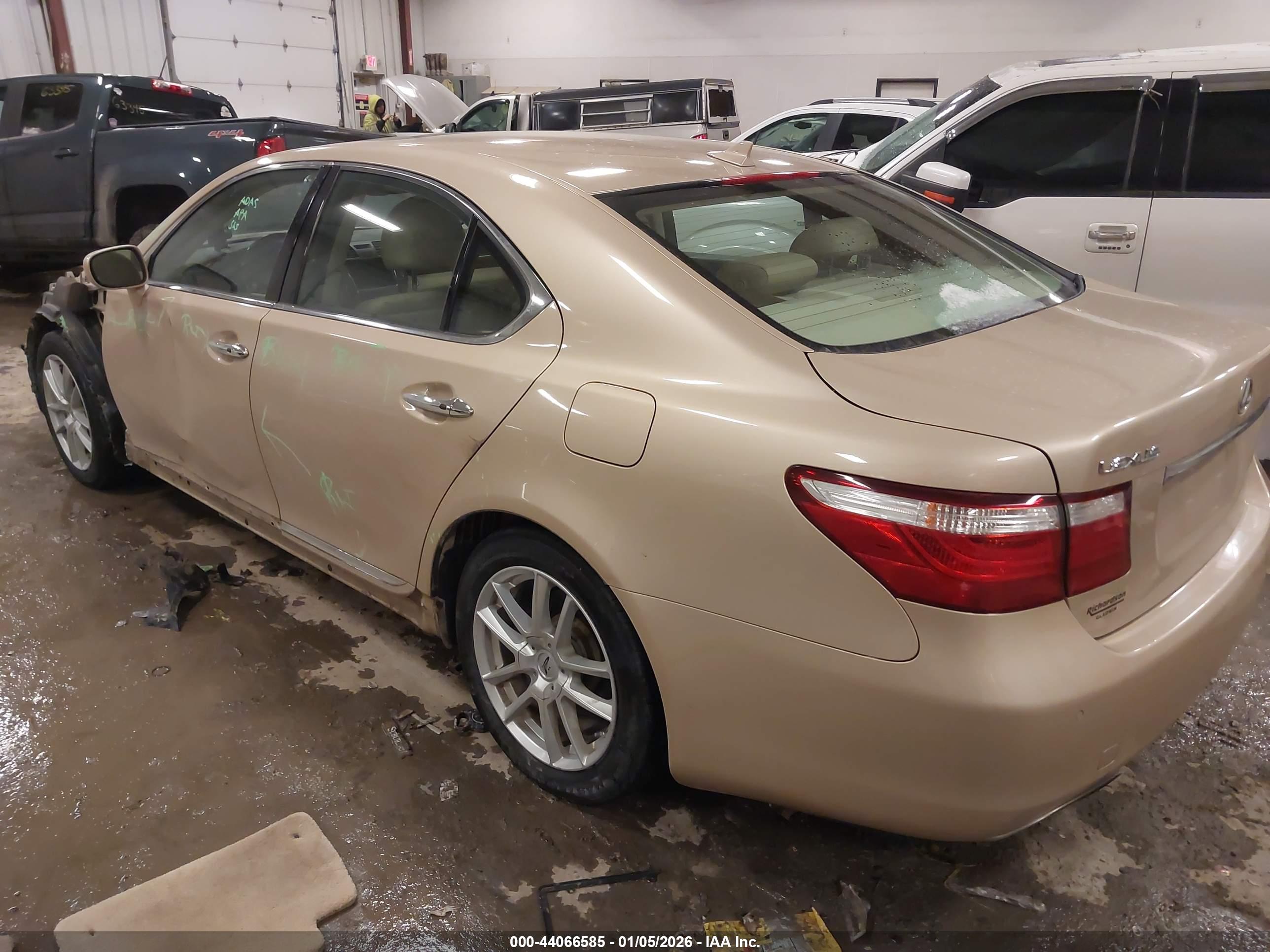 LEXUS LS image 3