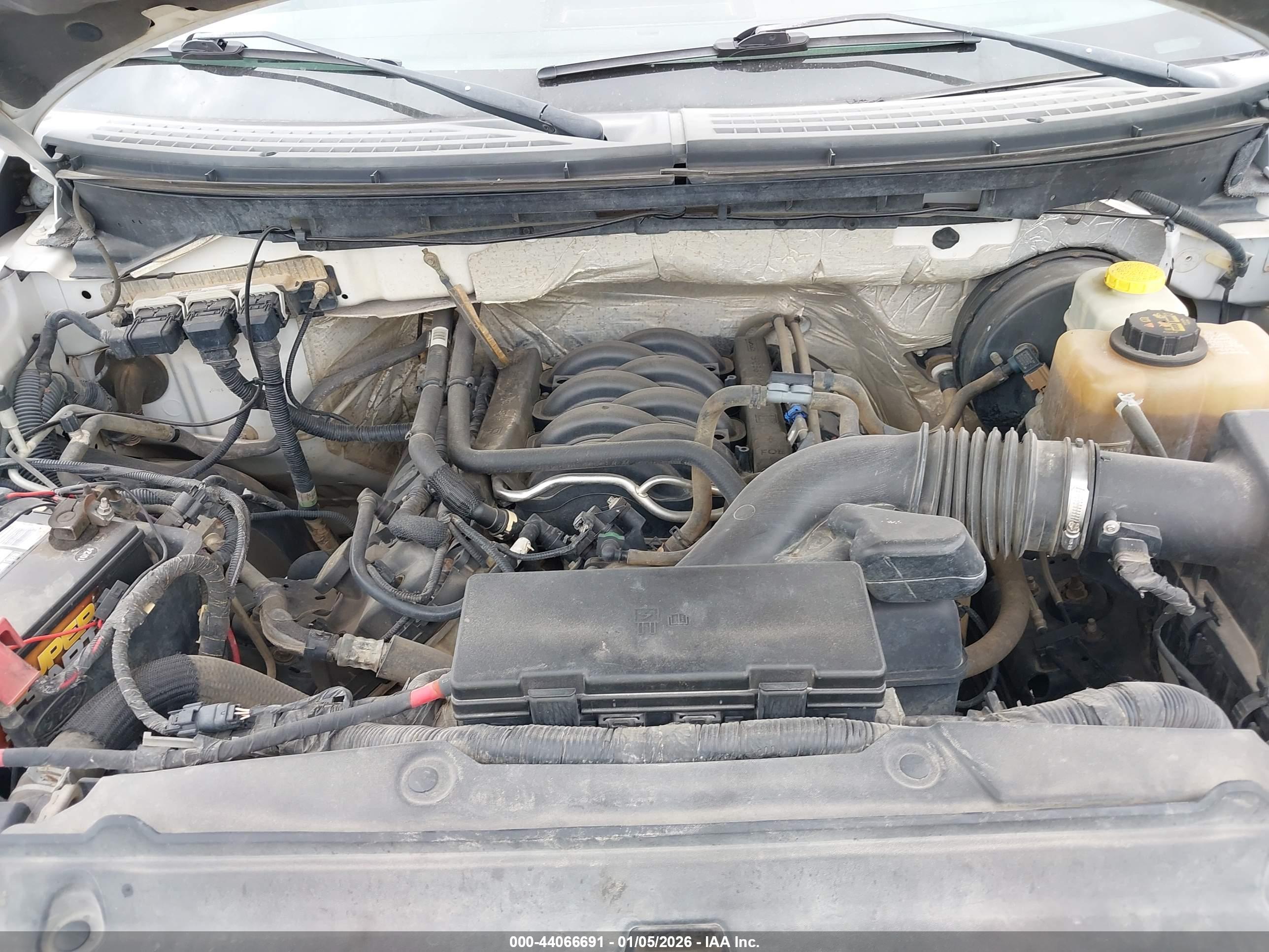 FORD F-150 image 10