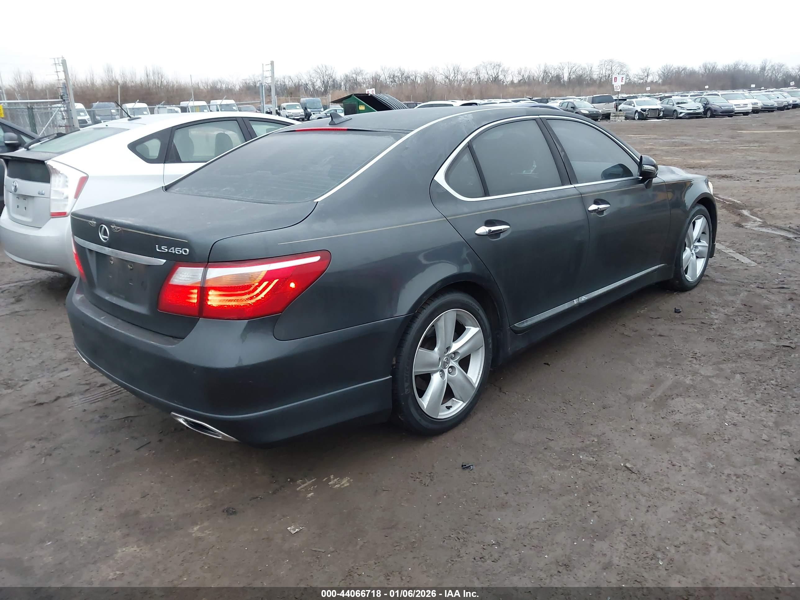 LEXUS LS image 4