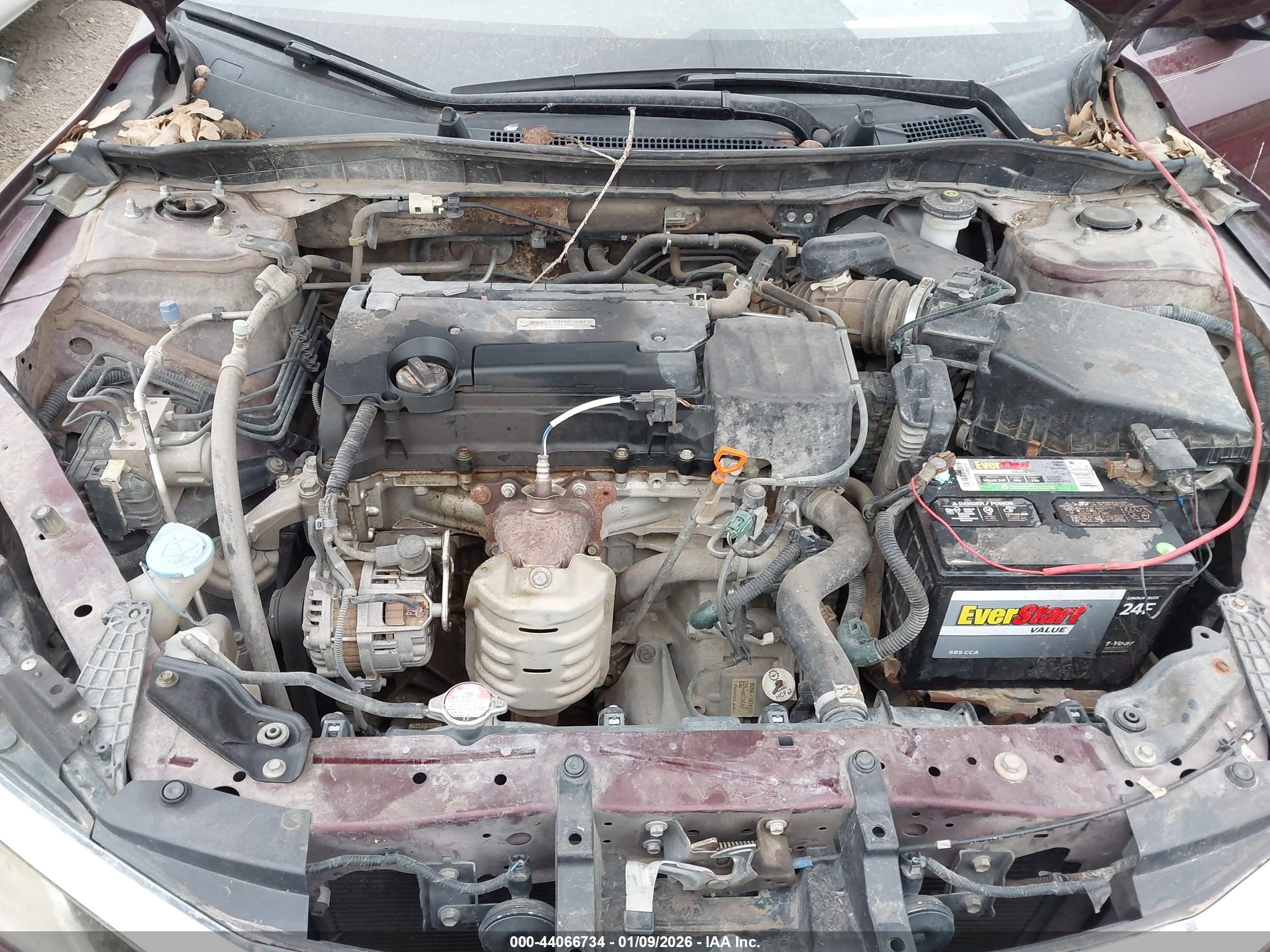 HONDA ACCORD image 10