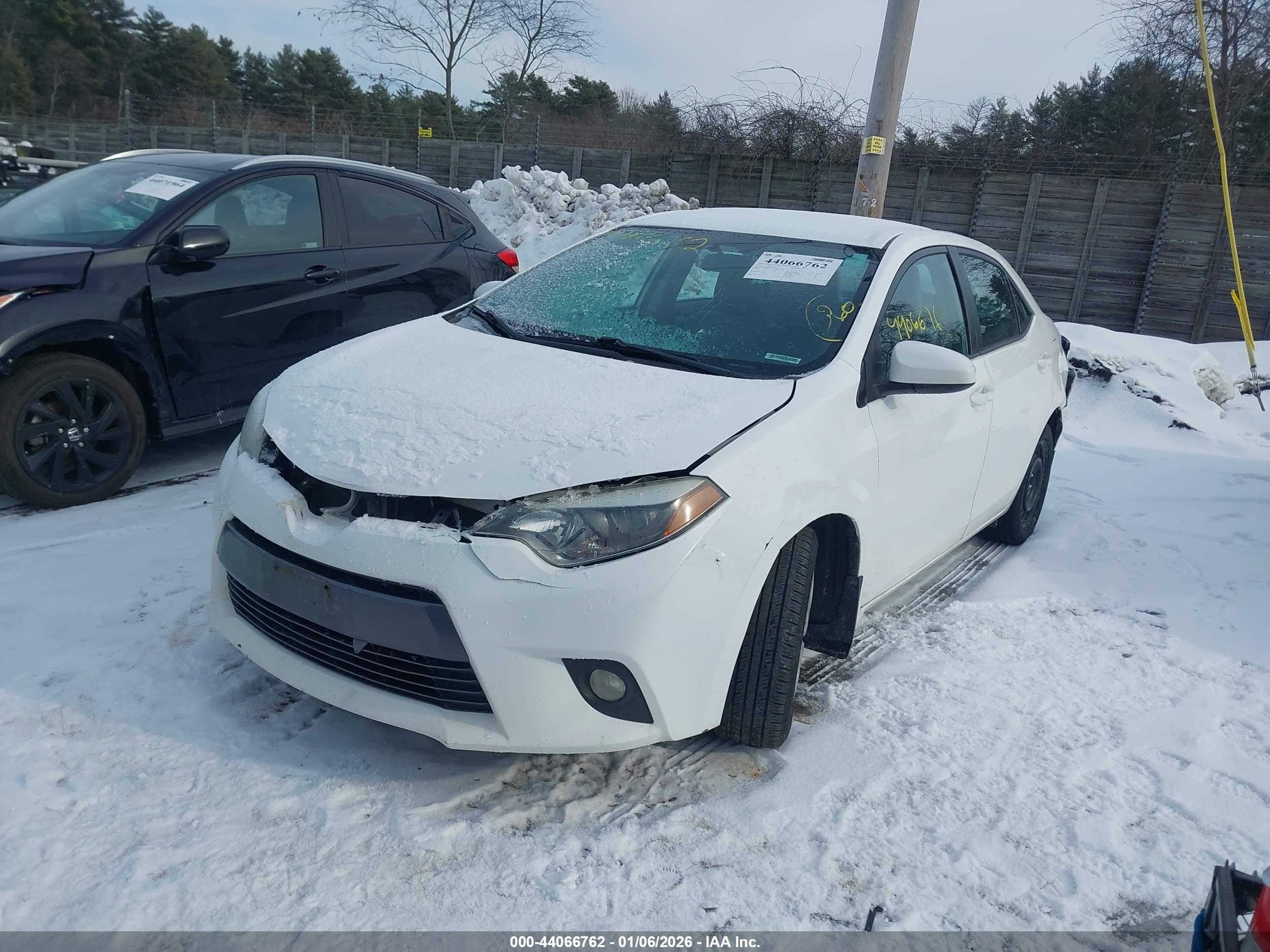 TOYOTA COROLLA image 2