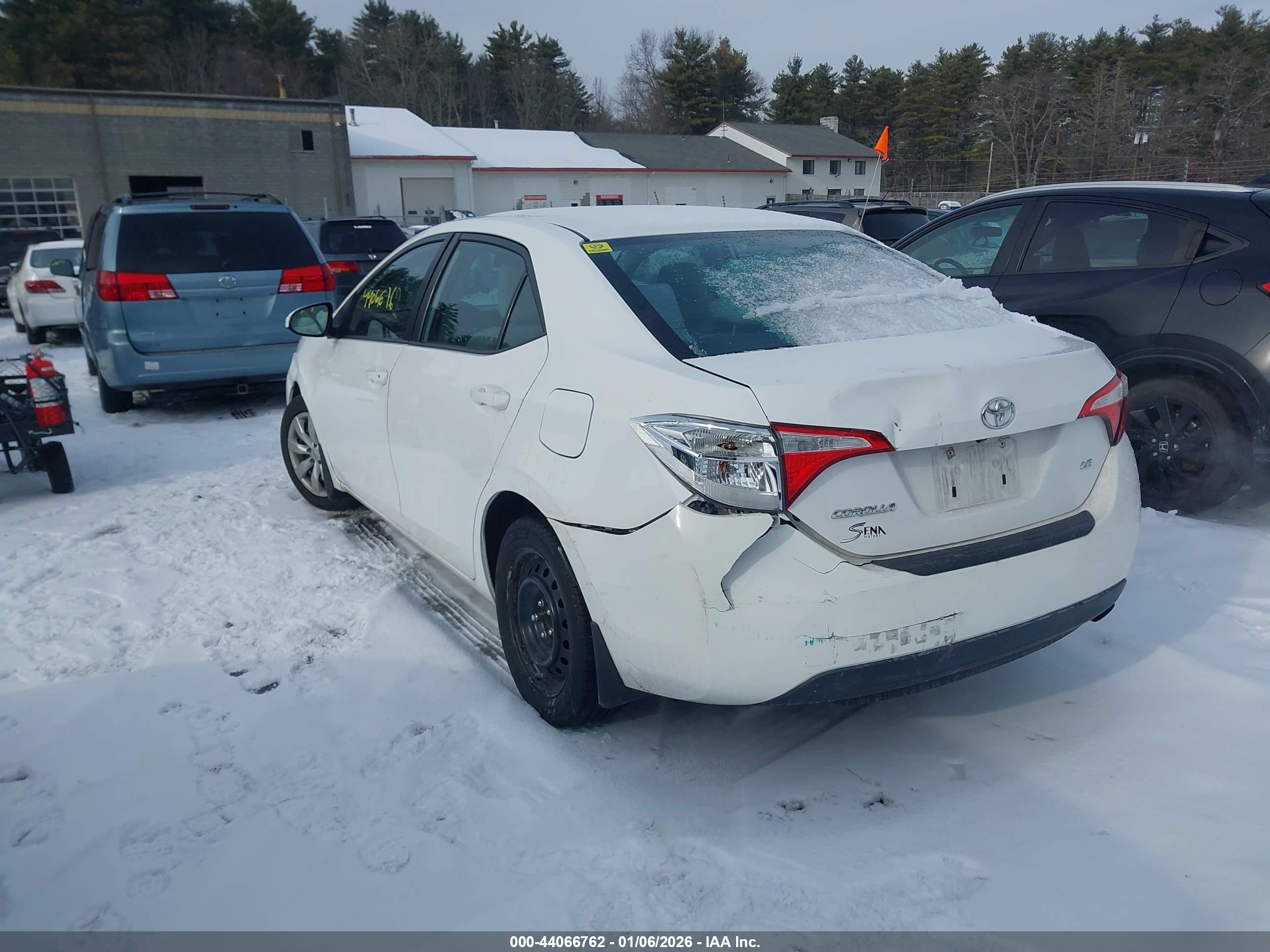 TOYOTA COROLLA image 3