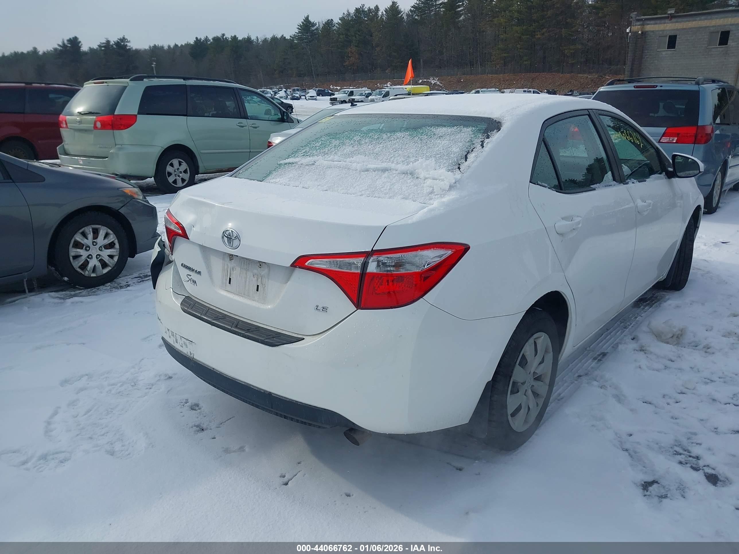 TOYOTA COROLLA image 4
